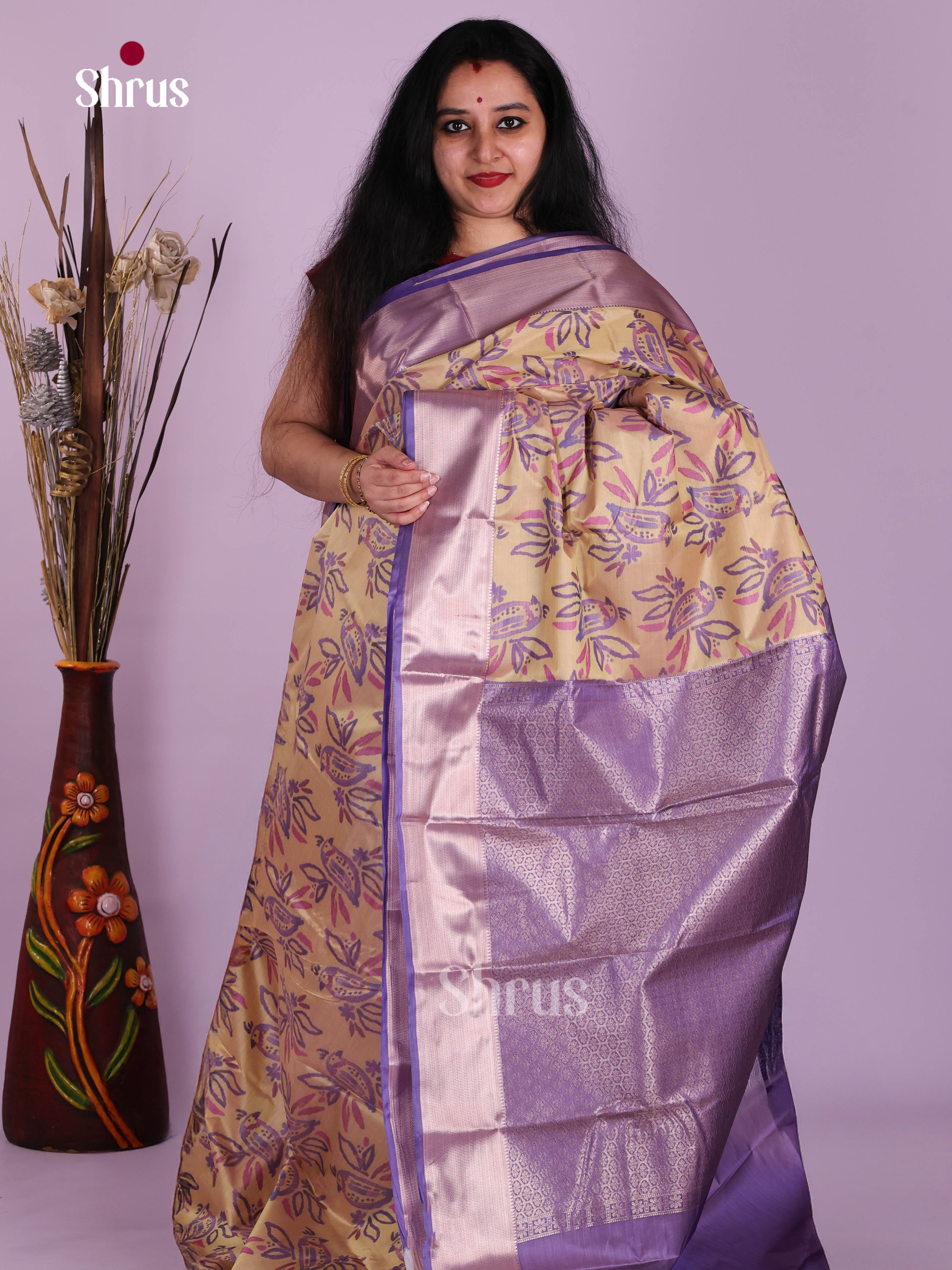 DJS29045 - Kanchipuram-halfpure Saree