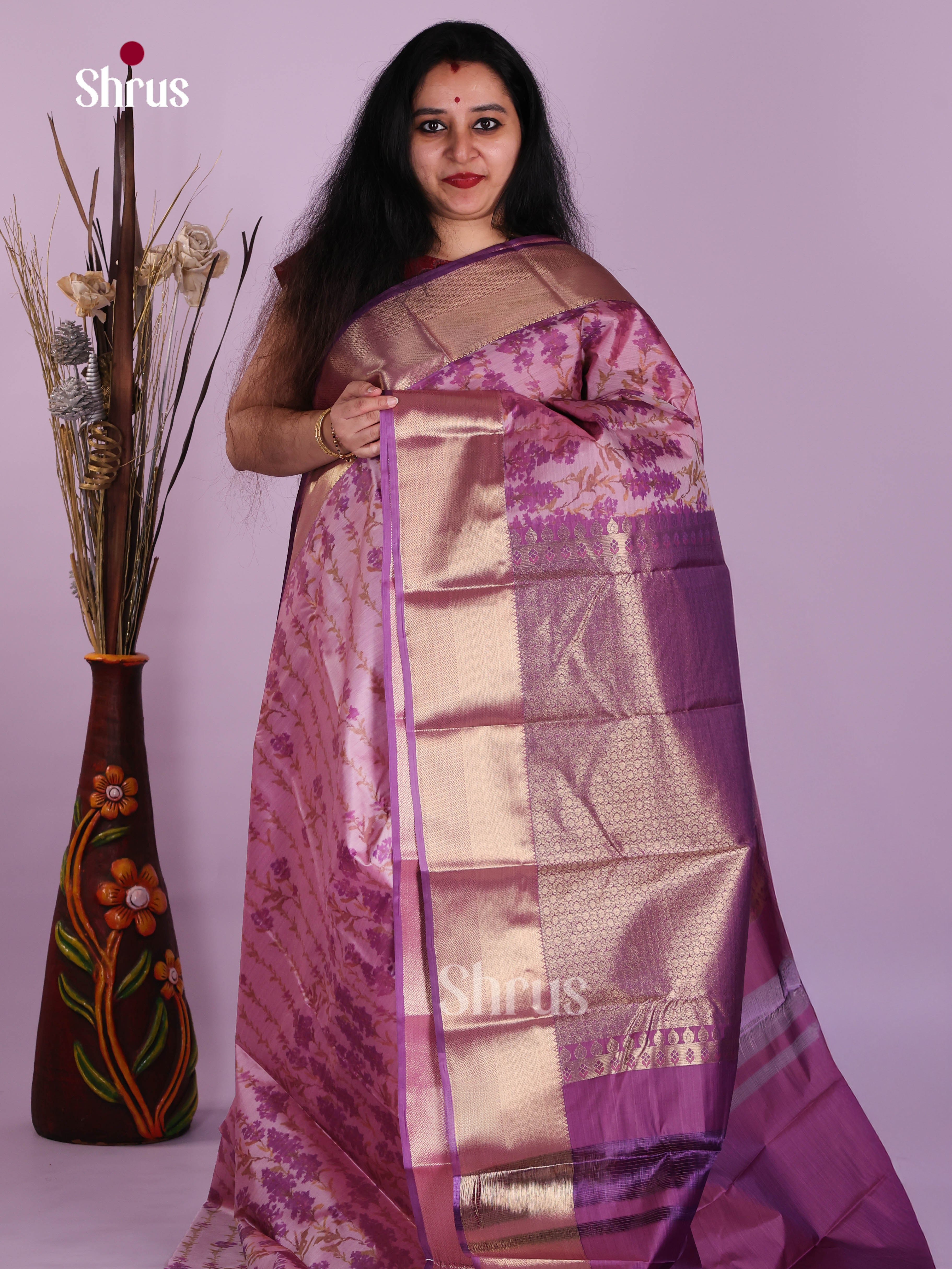 DJS29047 - Kanchipuram-halfpure Saree