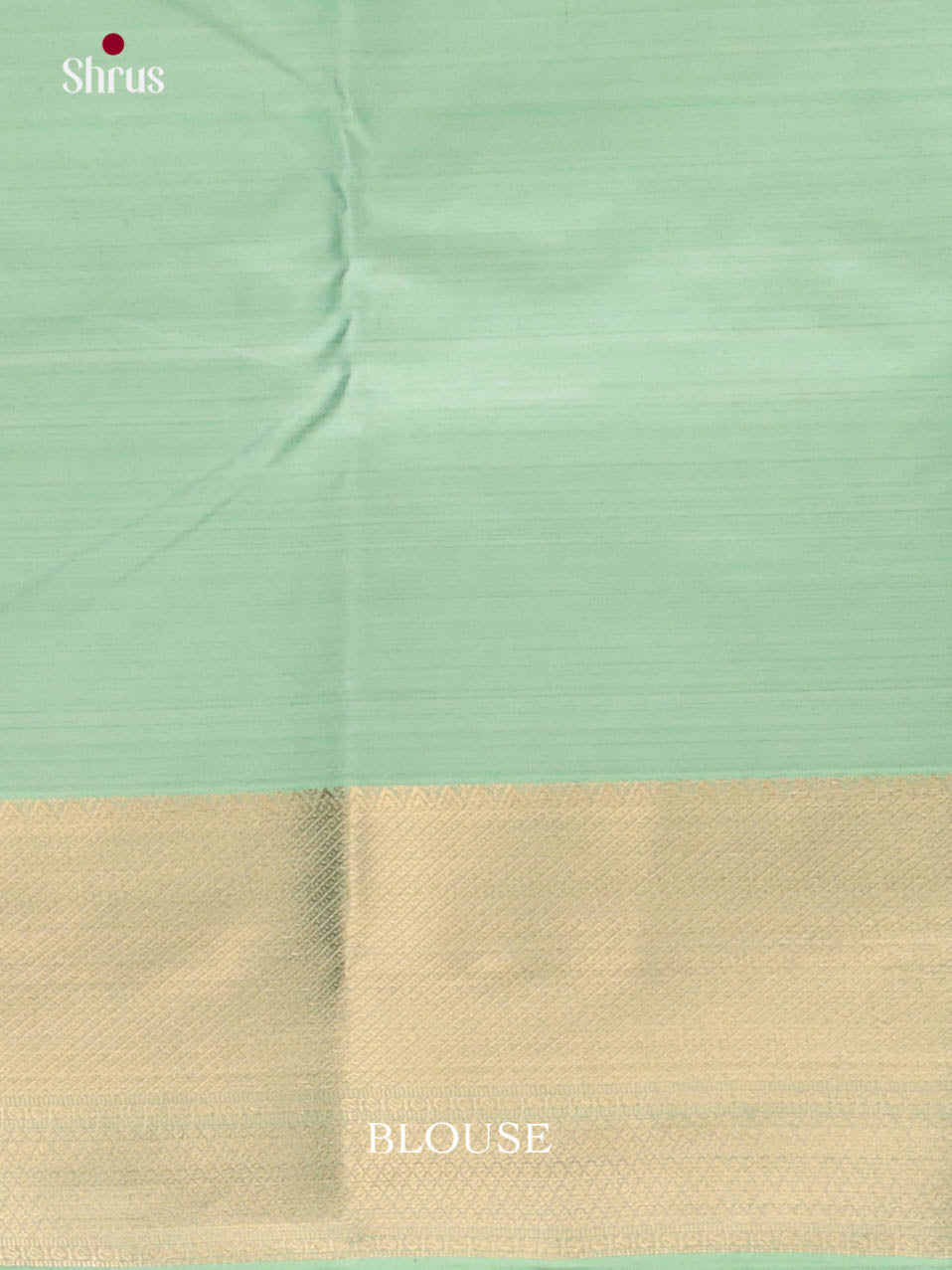 DJS29050 - Kanchipuram-halfpure Saree