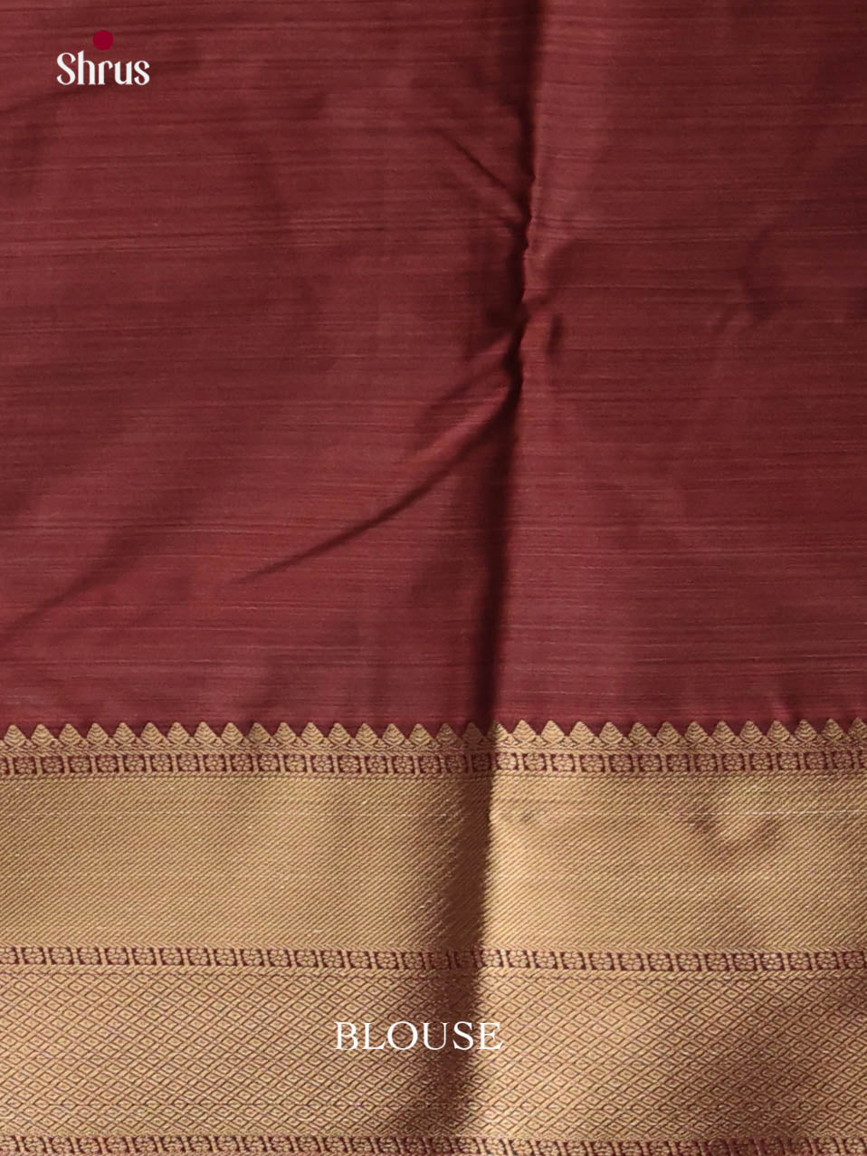 DJS29055 - Kanchipuram-halfpure Saree