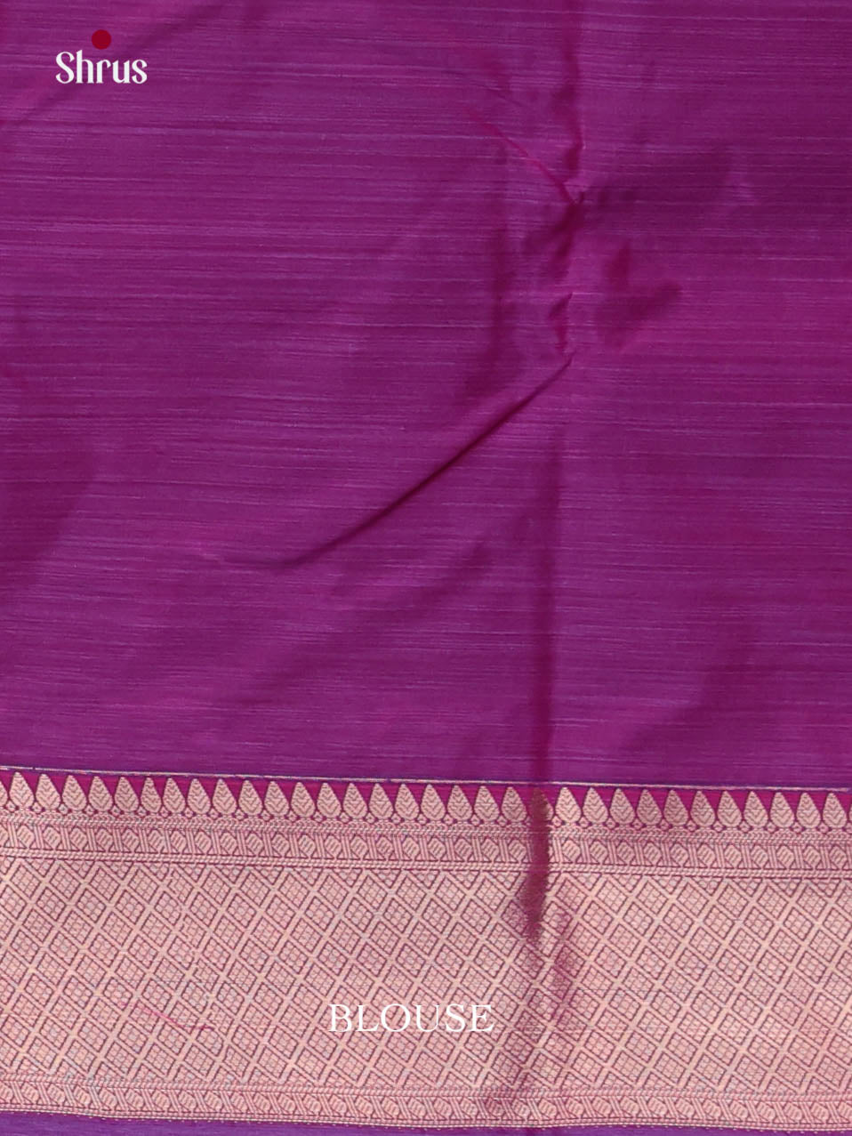 DJS29079 - Kanchipuram-halfpure Saree