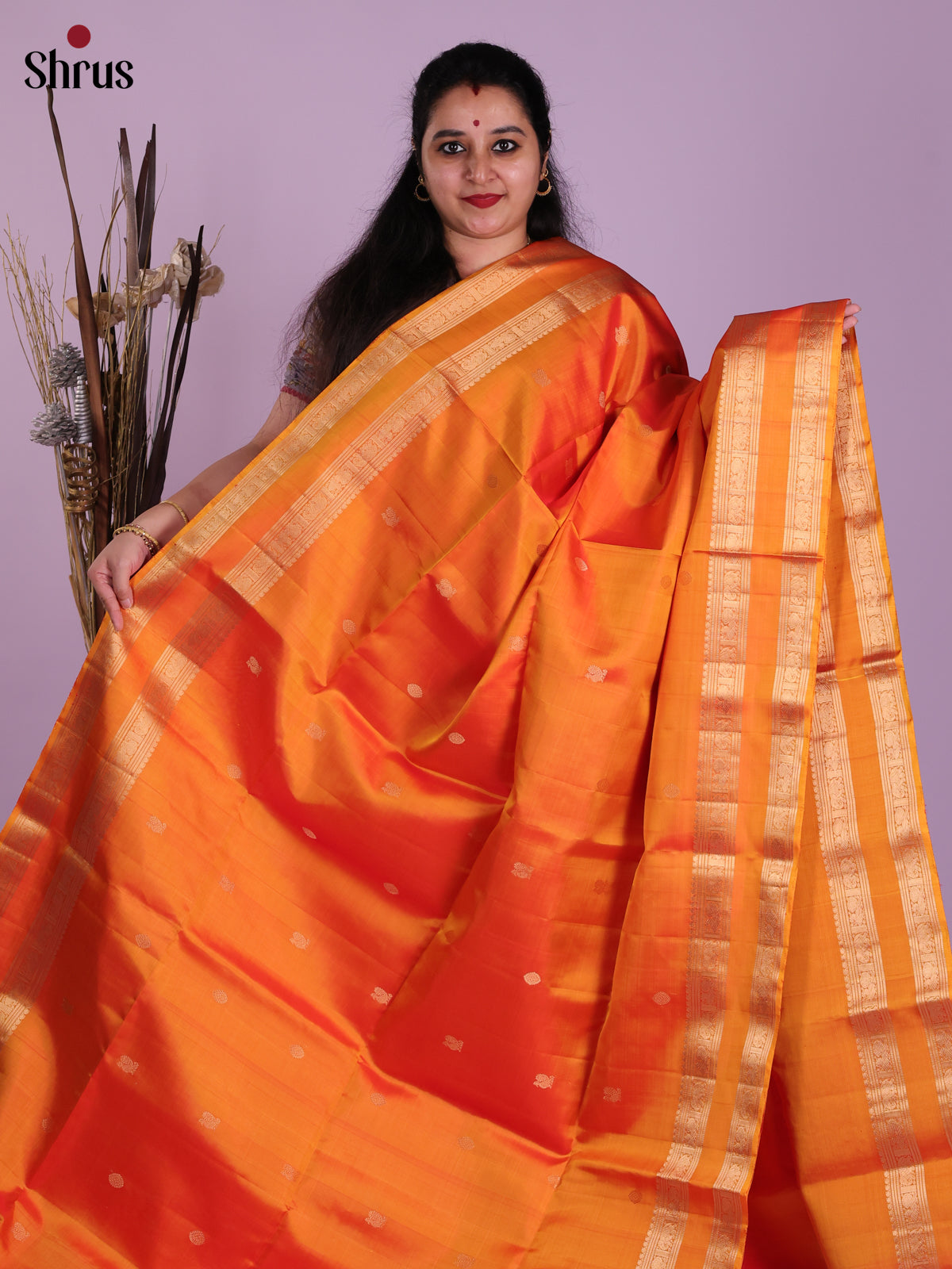 DJS30142 - Soft Silk (HR) Saree