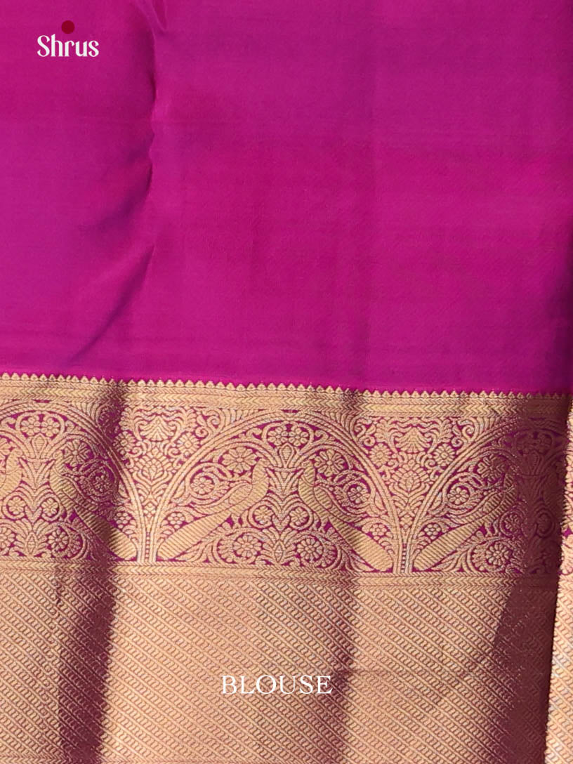 Blue & Purple - Kanchipuram-halfpure Saree