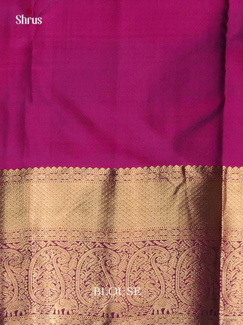 Blue & Purple - Kanchipuram-halfpure Saree