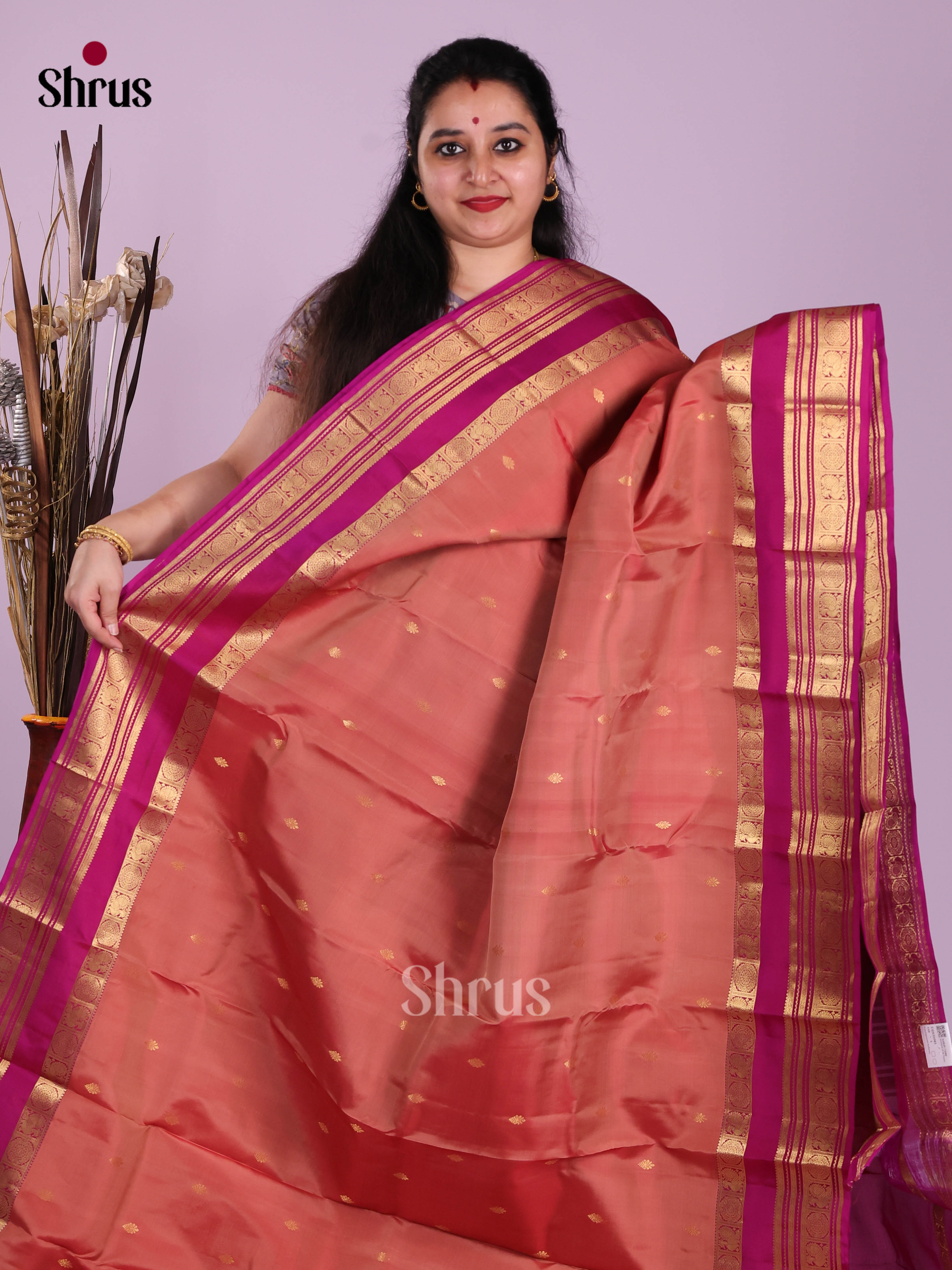 DJS31041 - Kanchipuram-halfpure Saree