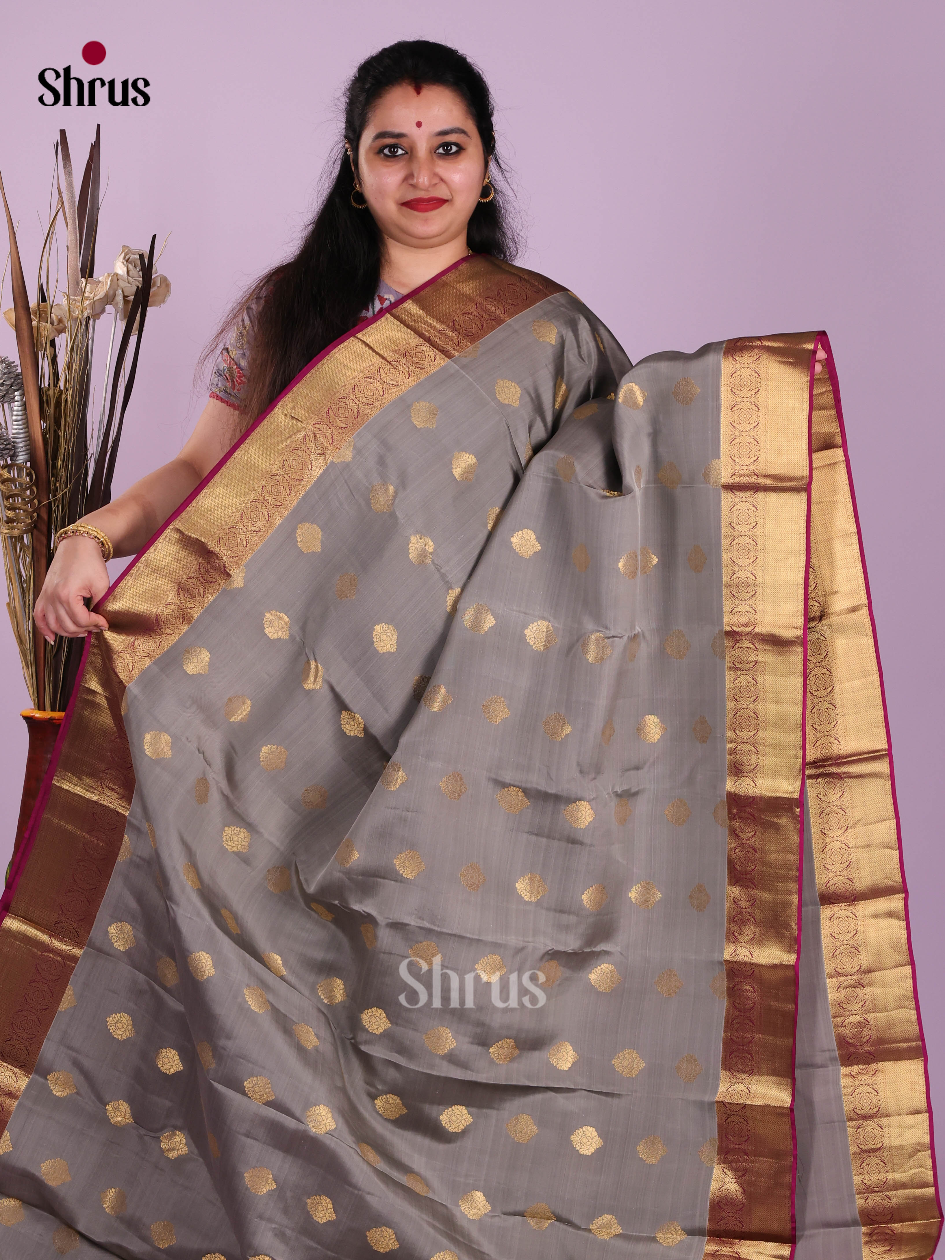 Grey & Purple - Kanchipuram-halfpure Saree