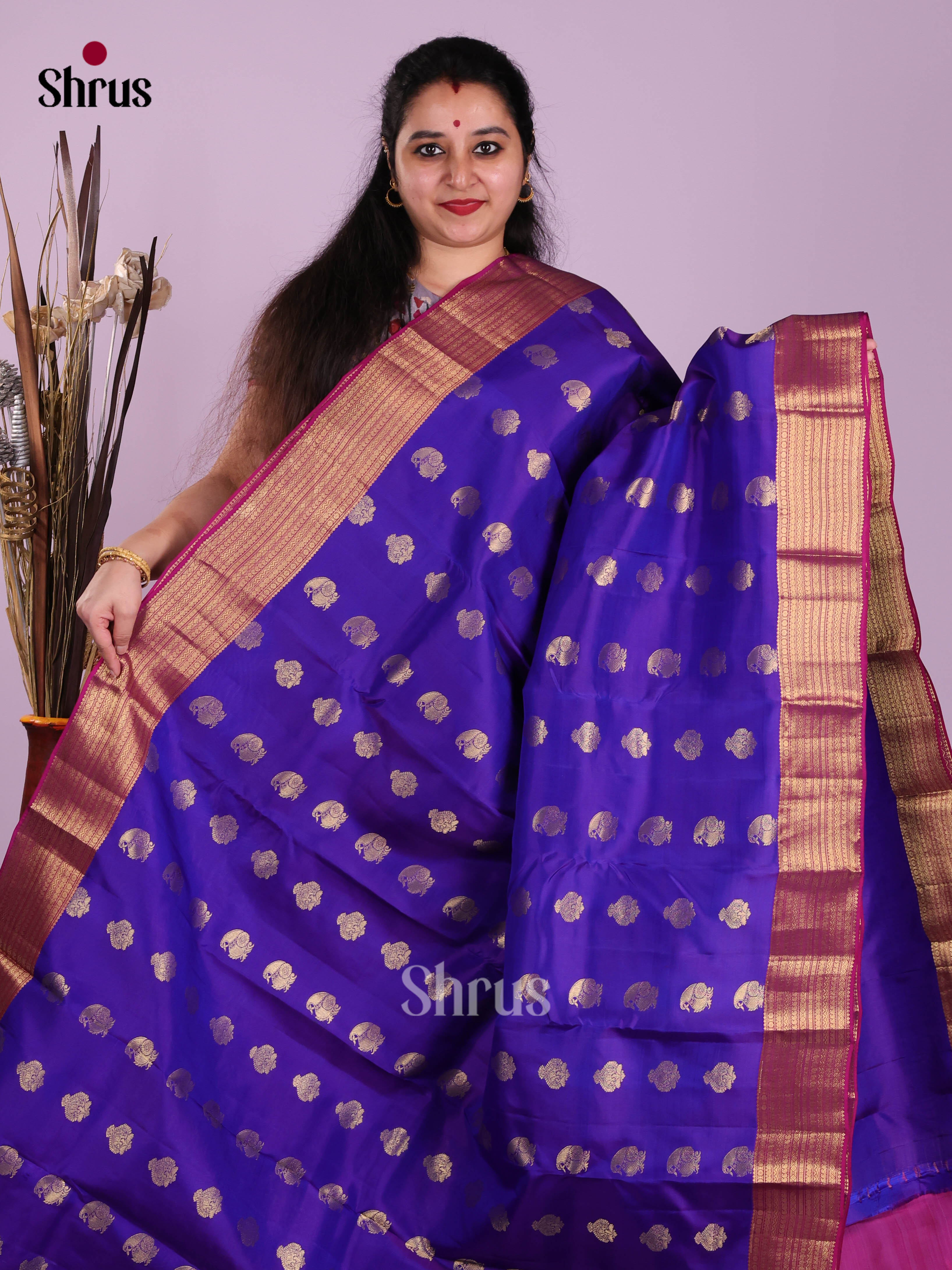 Blue & Purple - Kanchipuram-halfpure Saree