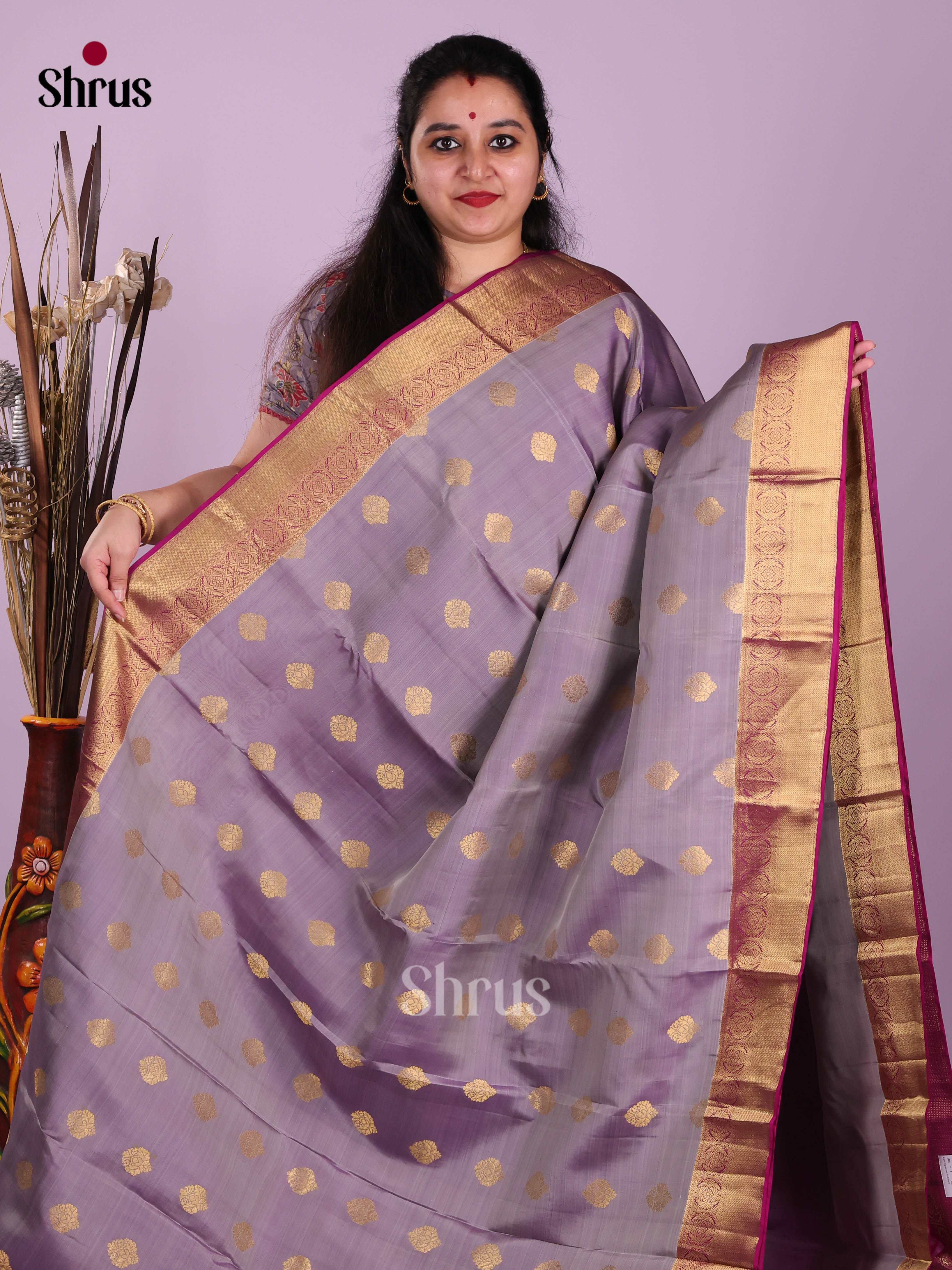 Grey & Purple - Kanchipuram-halfpure Saree