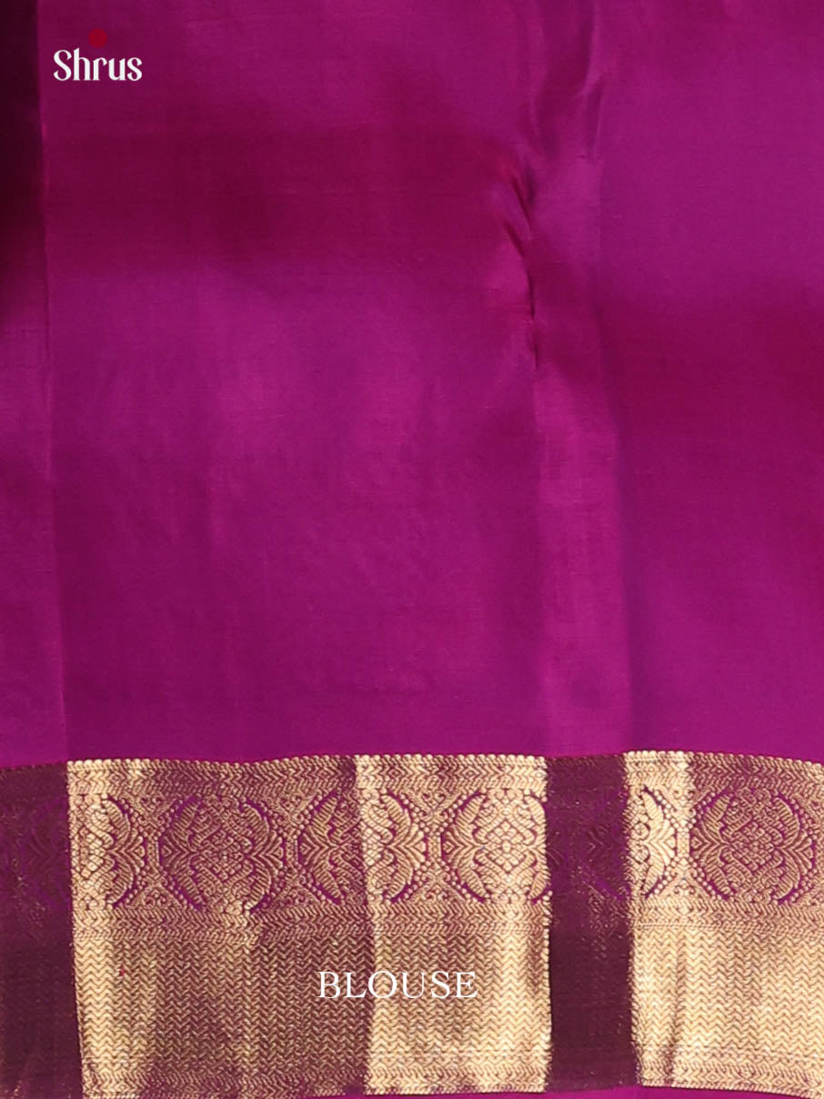 Grey & Purple - Kanchipuram-halfpure Saree