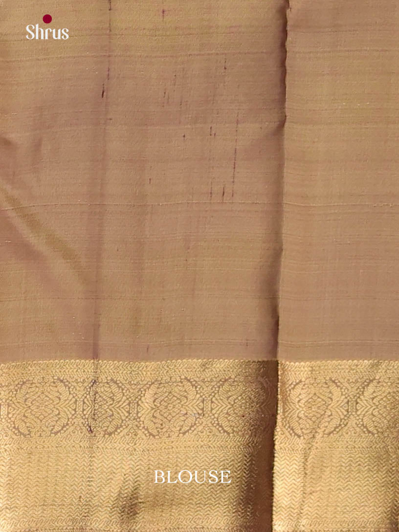 Green & Grey - Kanchipuram-halfpure Saree