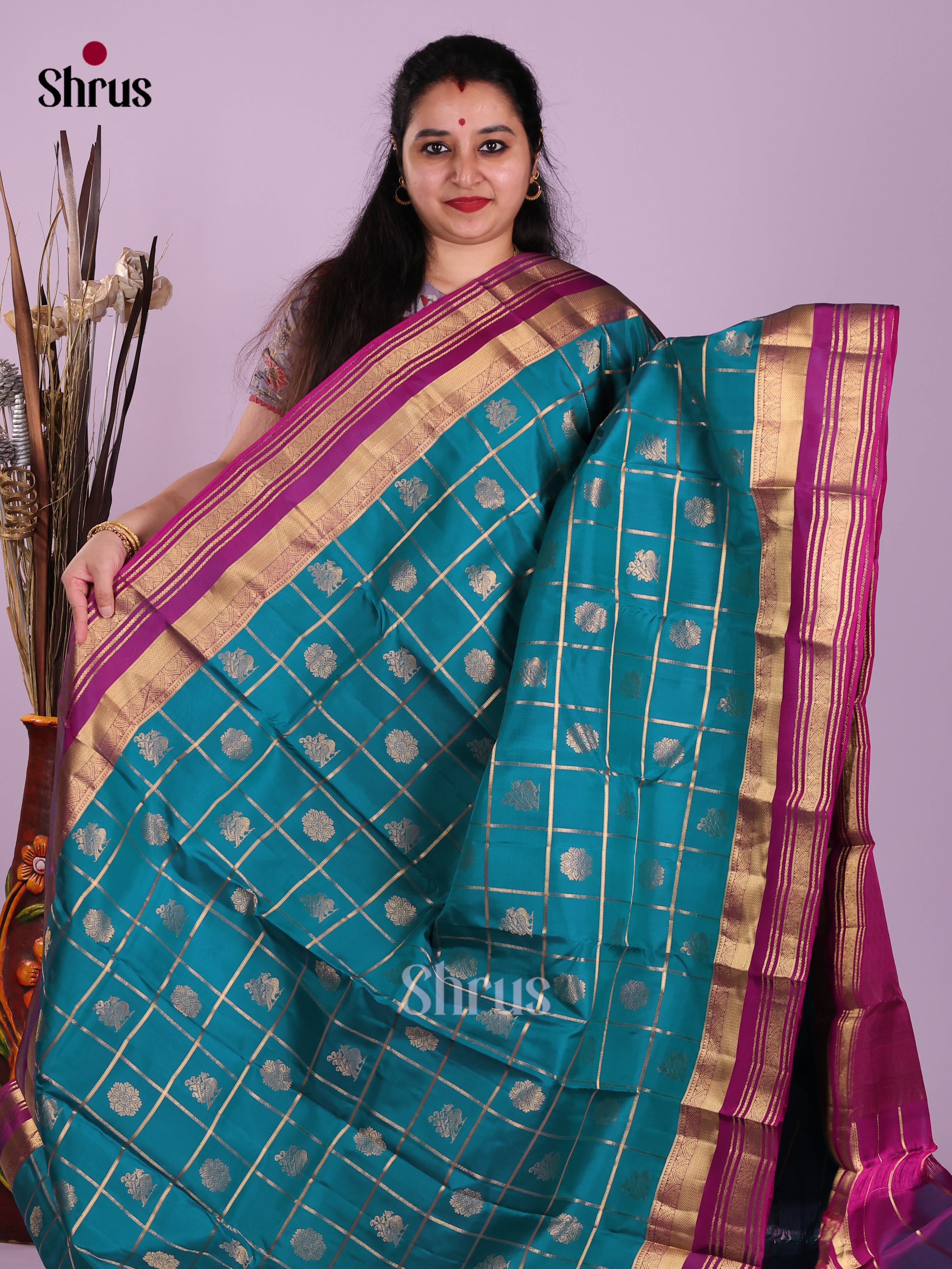 Blue & Purple - Kanchipuram-halfpure Saree