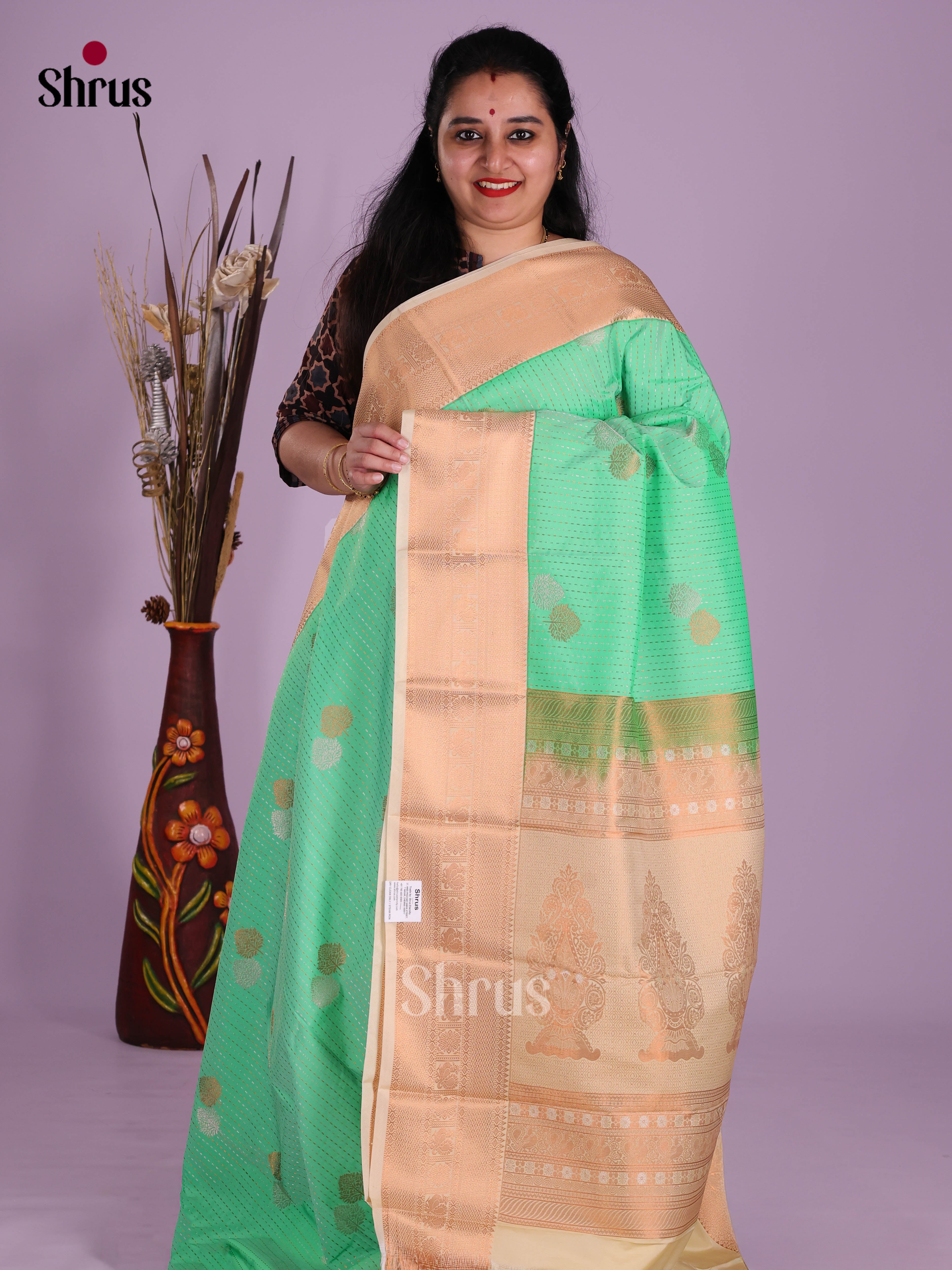 Pastel Green & Cream - Semi Kanchipuram Saree