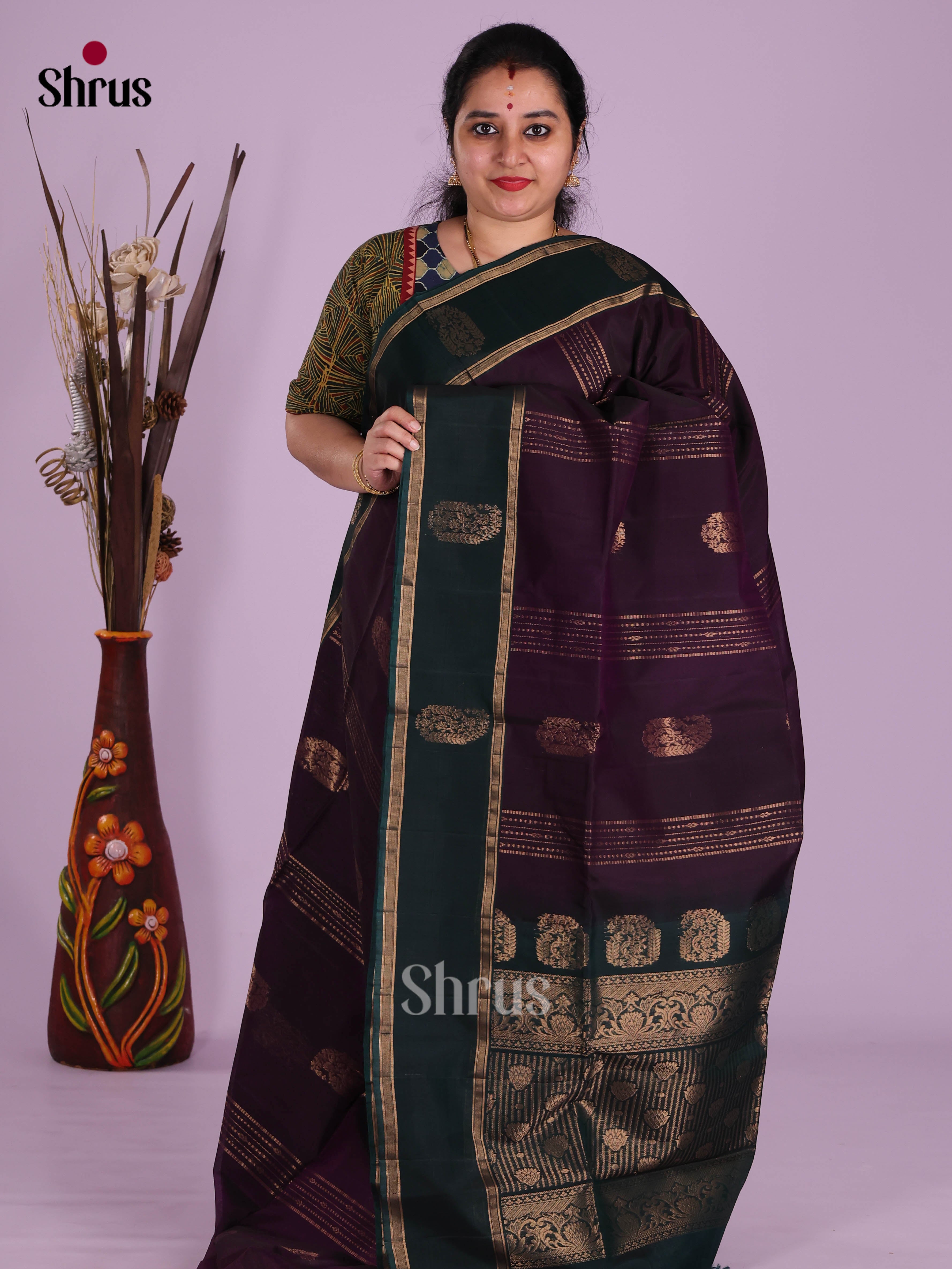 Violet & Green- Timeless Silk Cotton Saree - Shop on Shrus.com