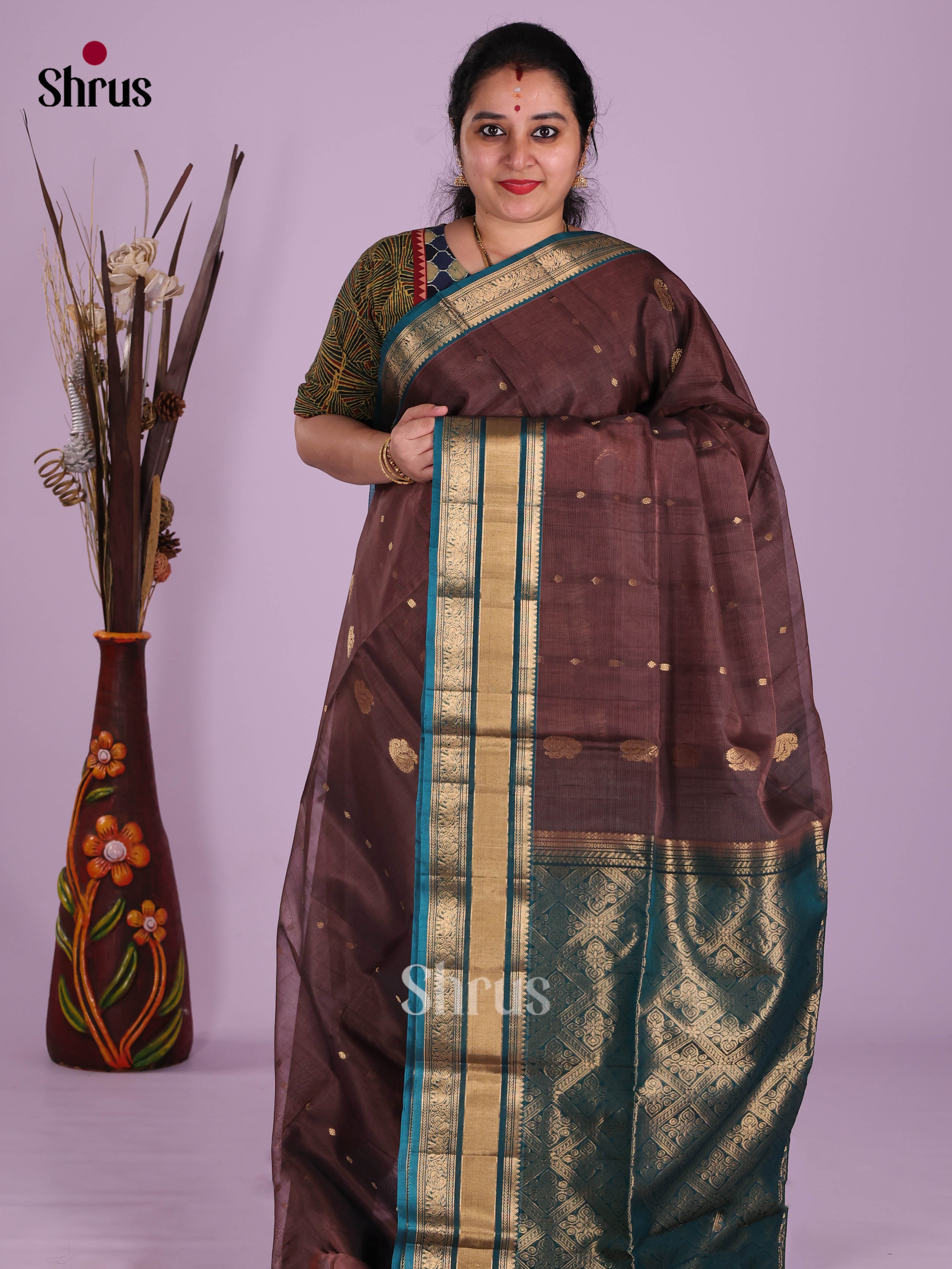 Brown & Blue - Timeless Silk Cotton Saree