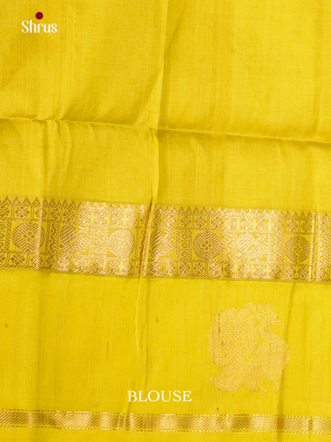 DKS08238 - Silk Cotton Saree - Shop on Shrus.com