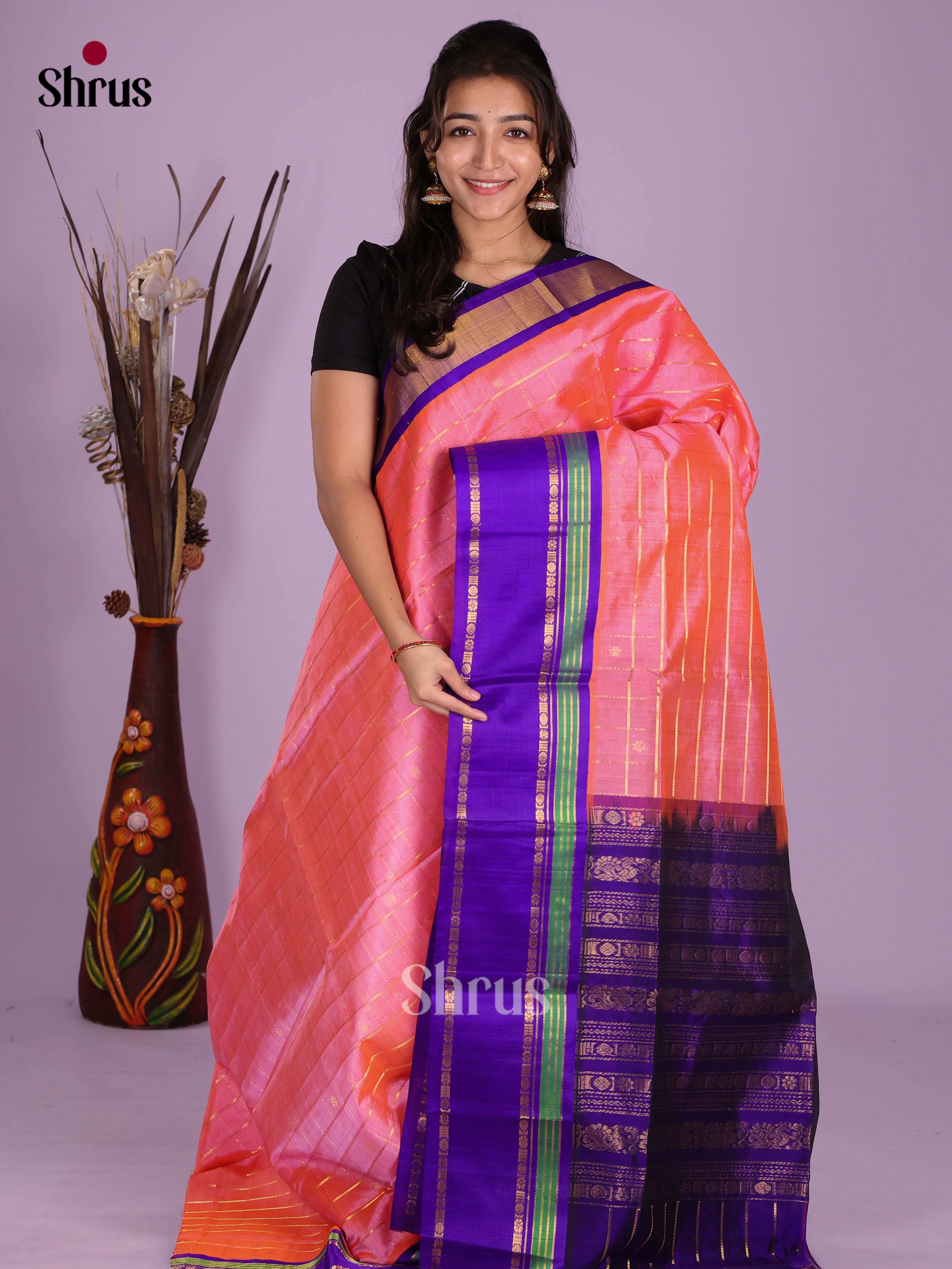 Peach & Blue - Silk Cotton Saree