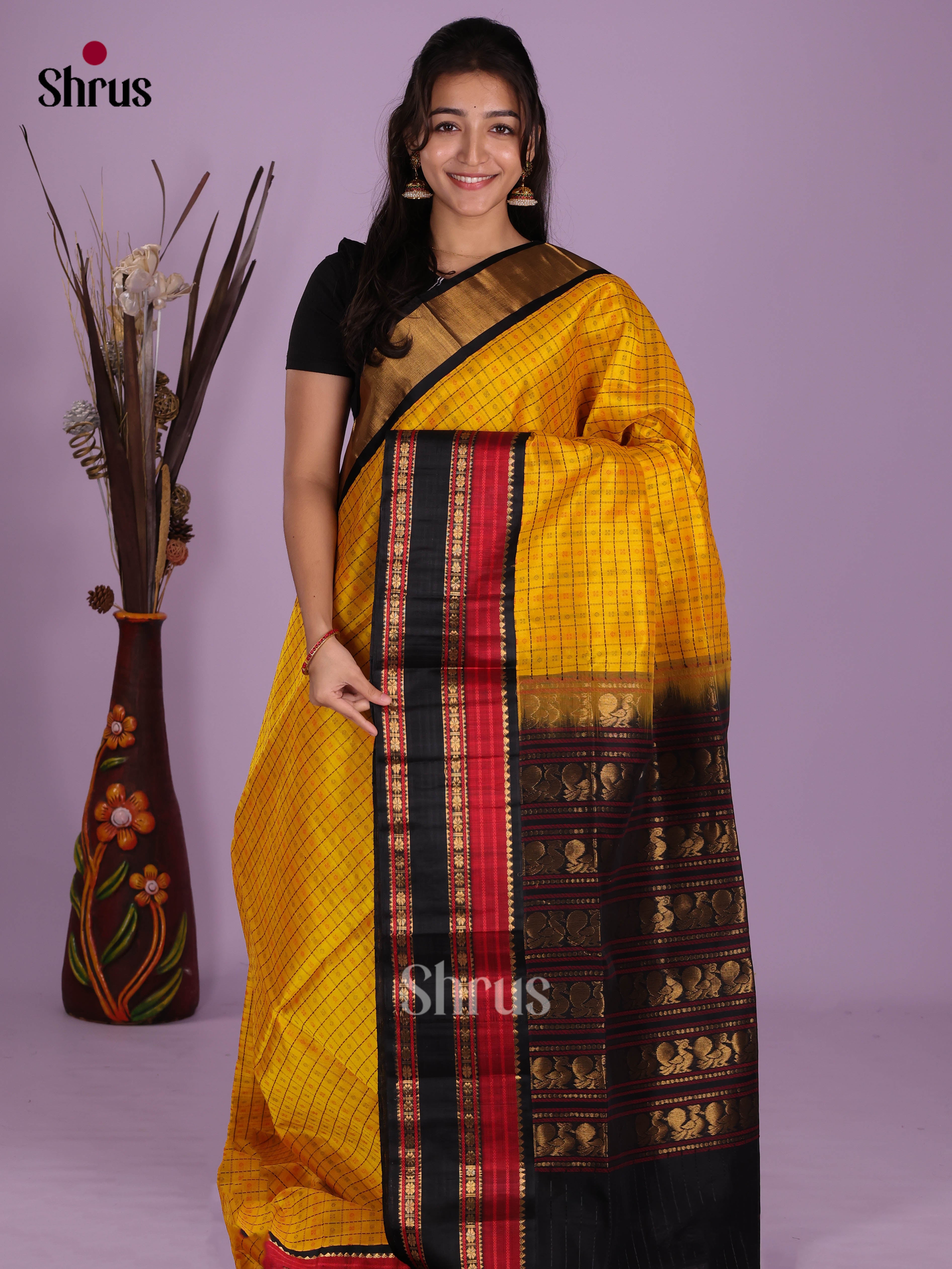 DKS08253 - Silk Cotton Saree - Shop on Shrus.com