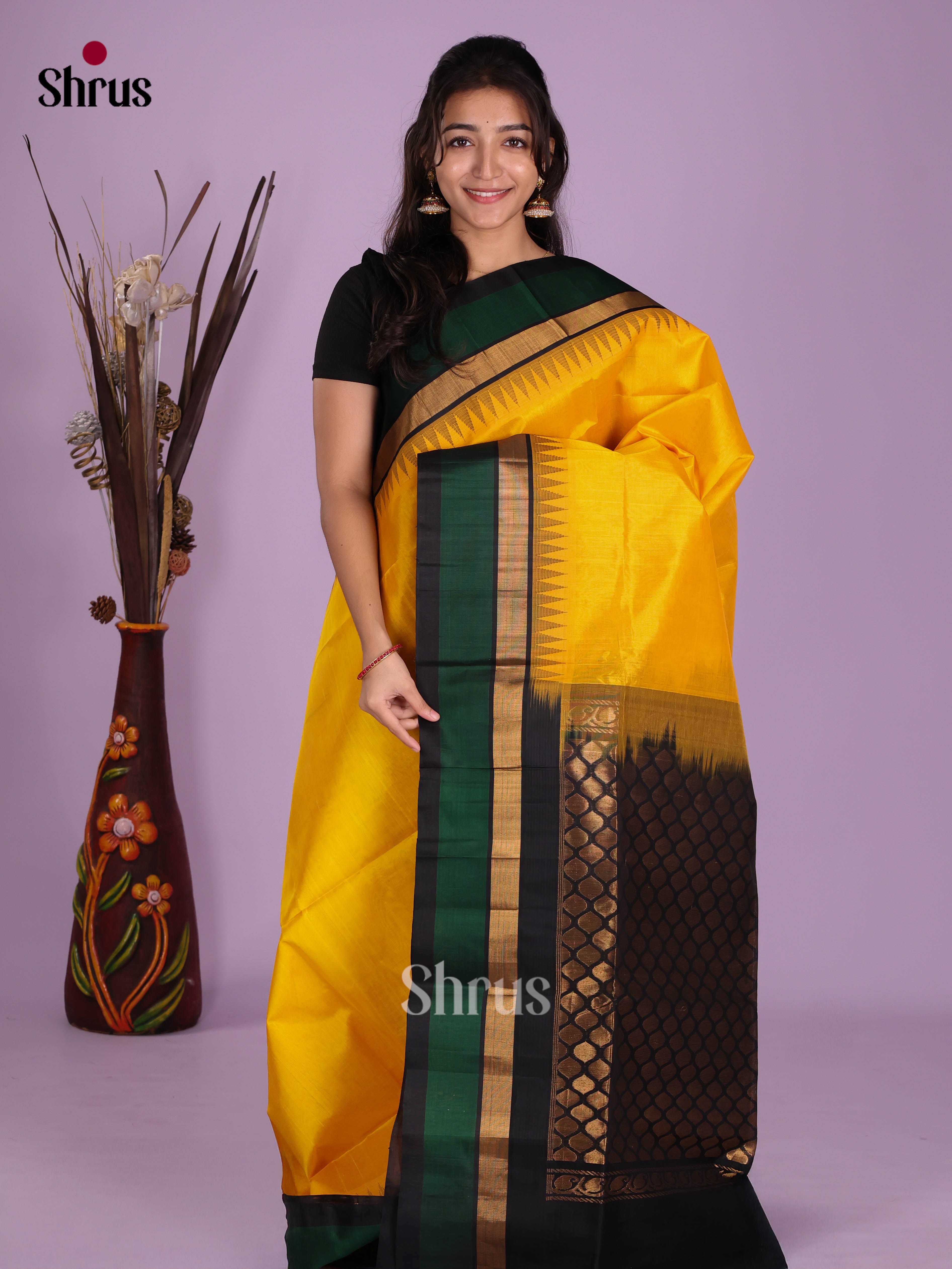 DKS08258 - Silk Cotton Saree - Shop on Shrus.com