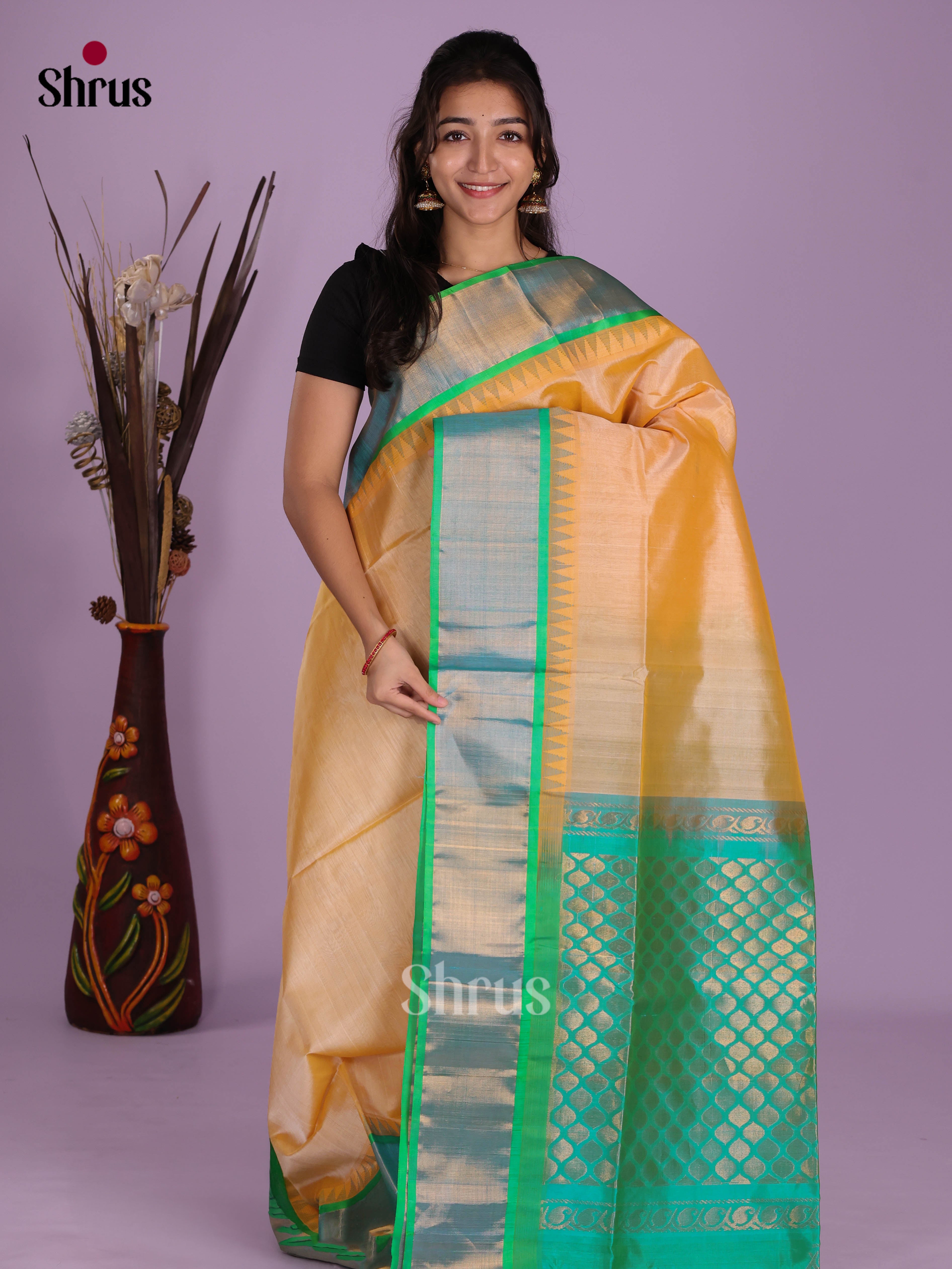 DKS08262 - Silk Cotton Saree - Shop on Shrus.com