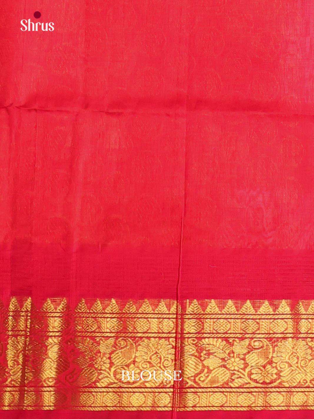 DKS08296 - Silk Cotton Saree - Shop on Shrus.com