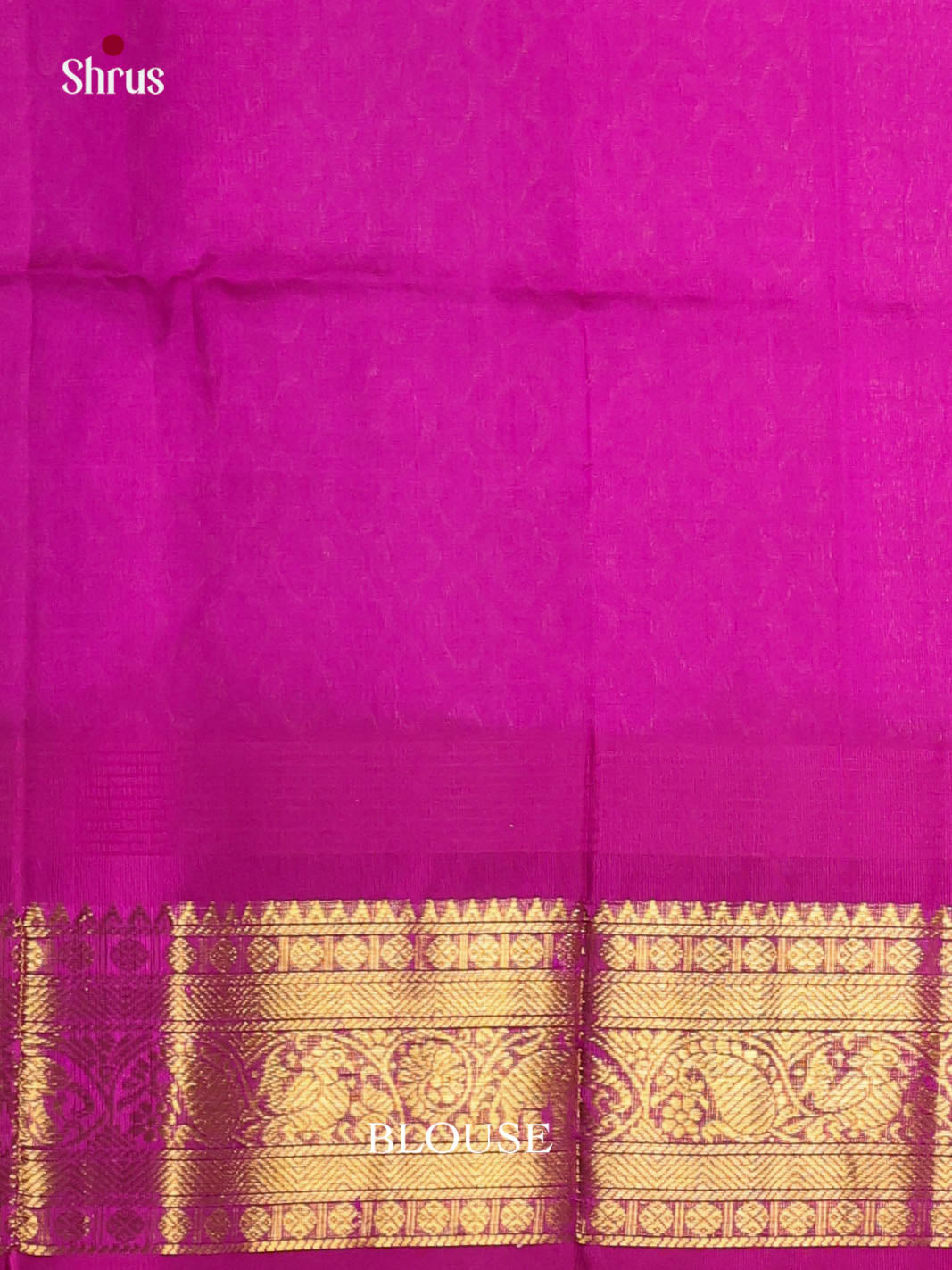 DKS08301 - Silk Cotton Saree - Shop on Shrus.com