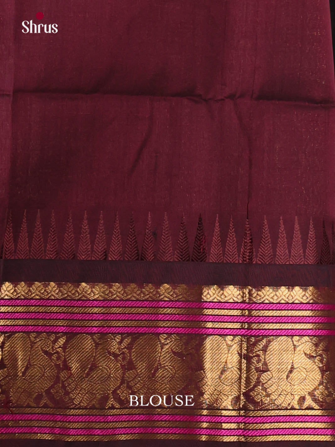 Sky Blue & brown - Silk Cotton Saree