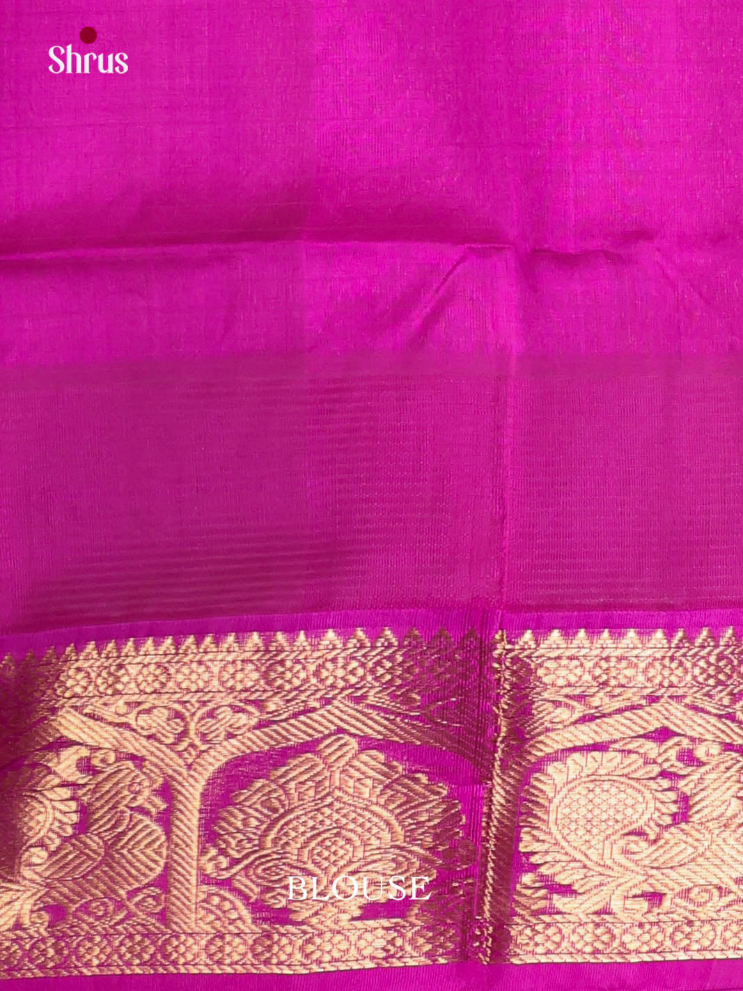 DKS08364 - Silk Cotton Saree - Shop on Shrus.com
