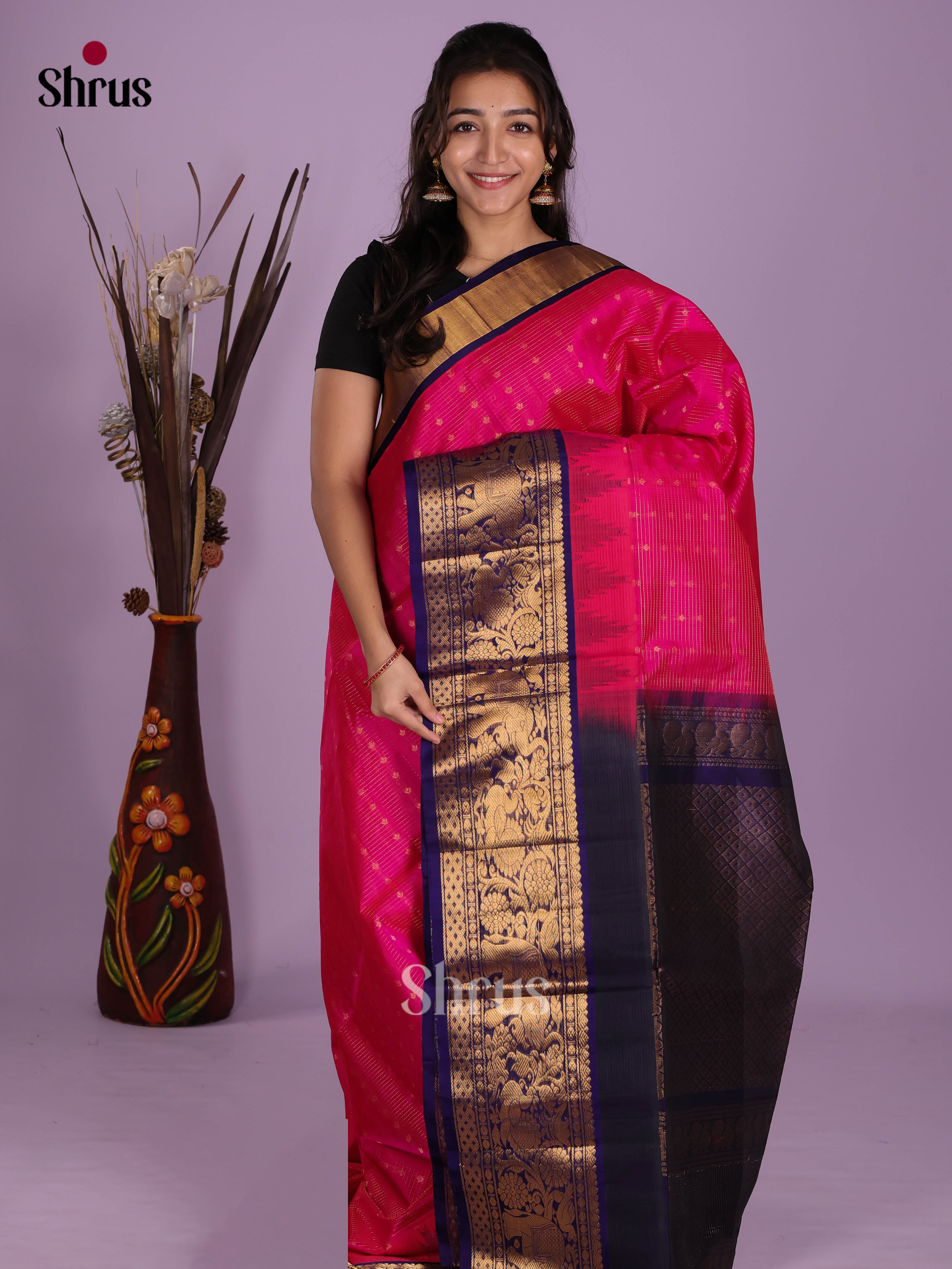 Pink & Blue  - Silk Cotton Saree