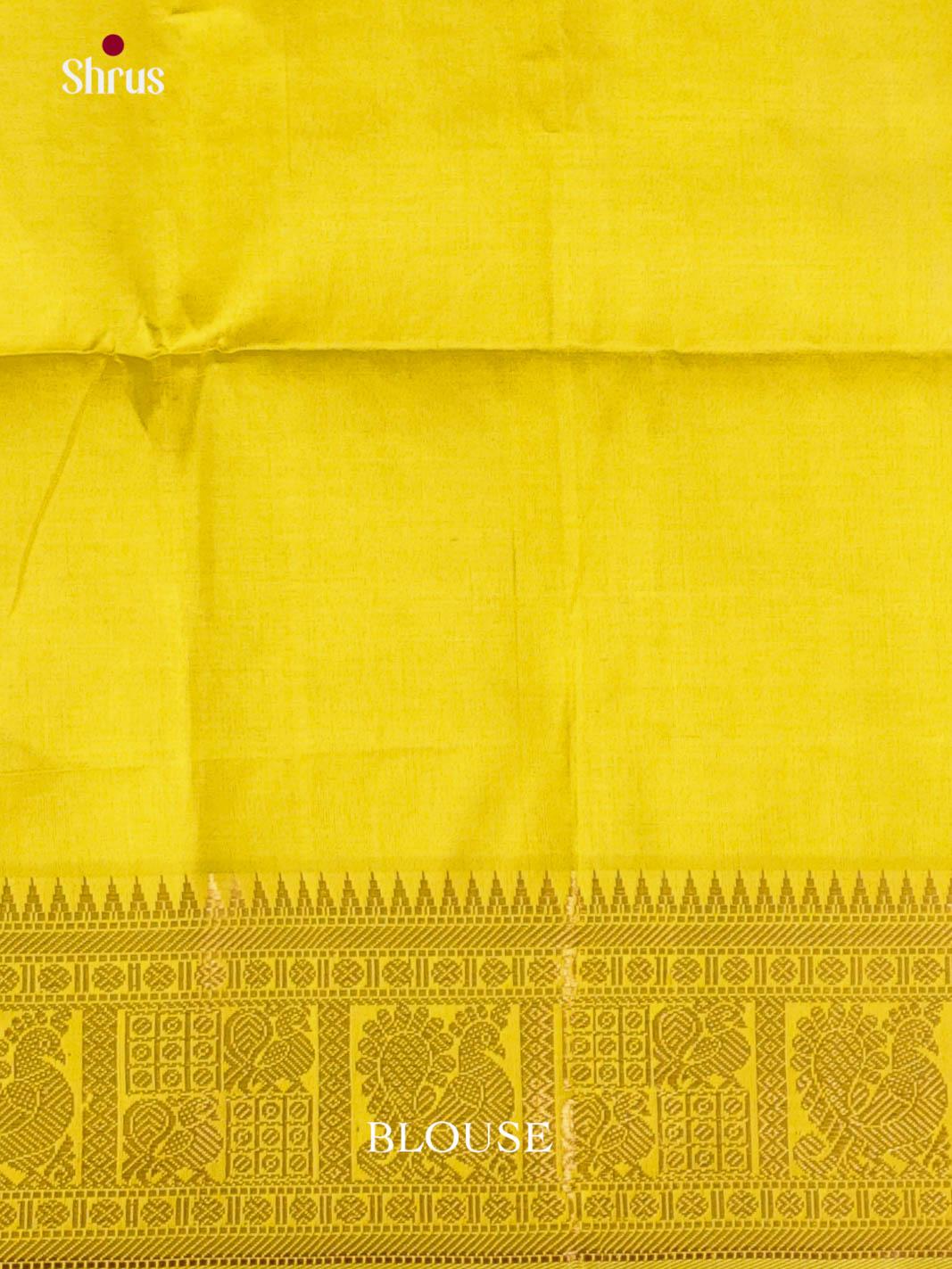 DKS08371 - Silk Cotton Saree - Shop on Shrus.com
