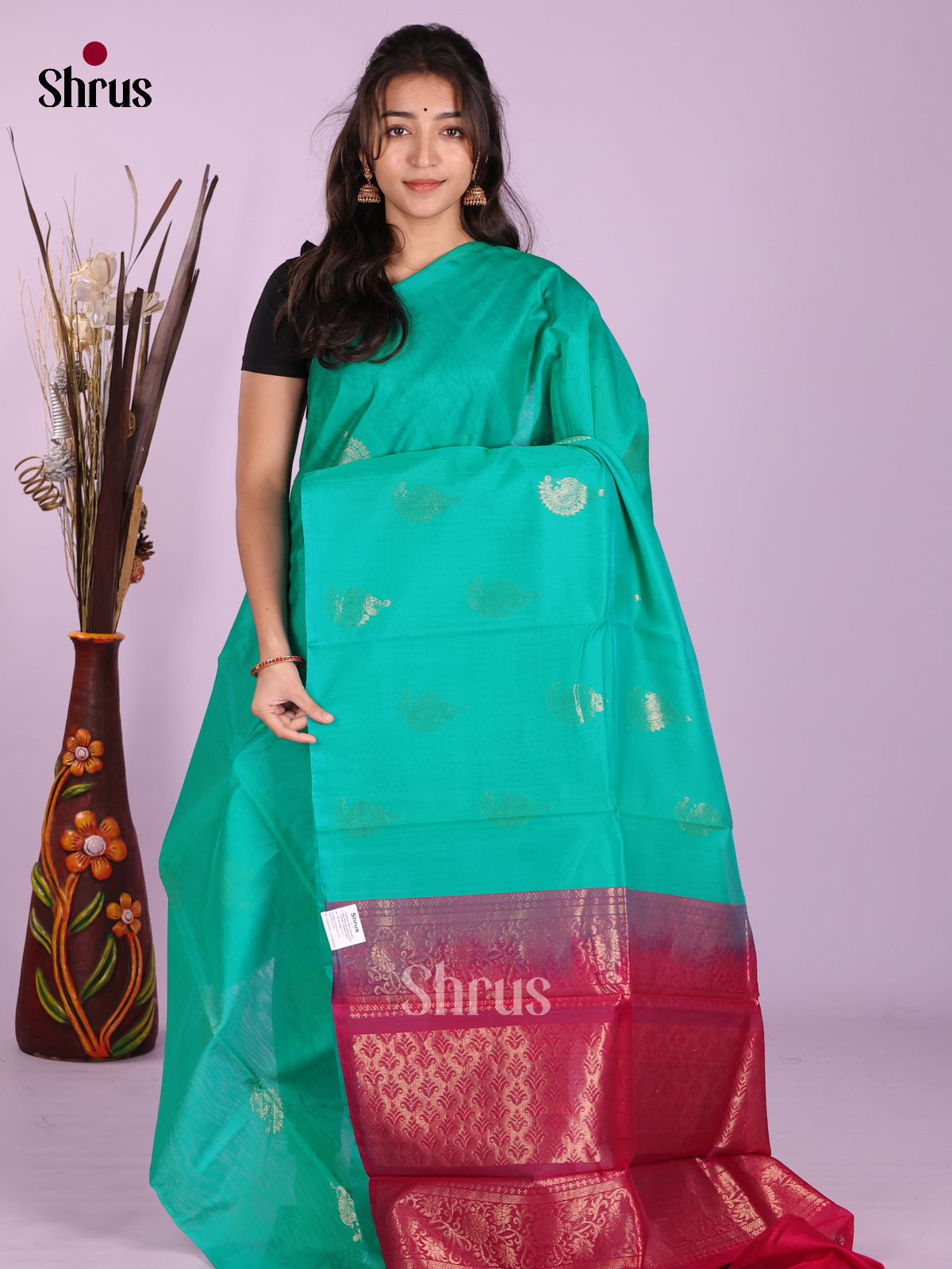 DKS08382 - Timeless Silk Cotton Saree
