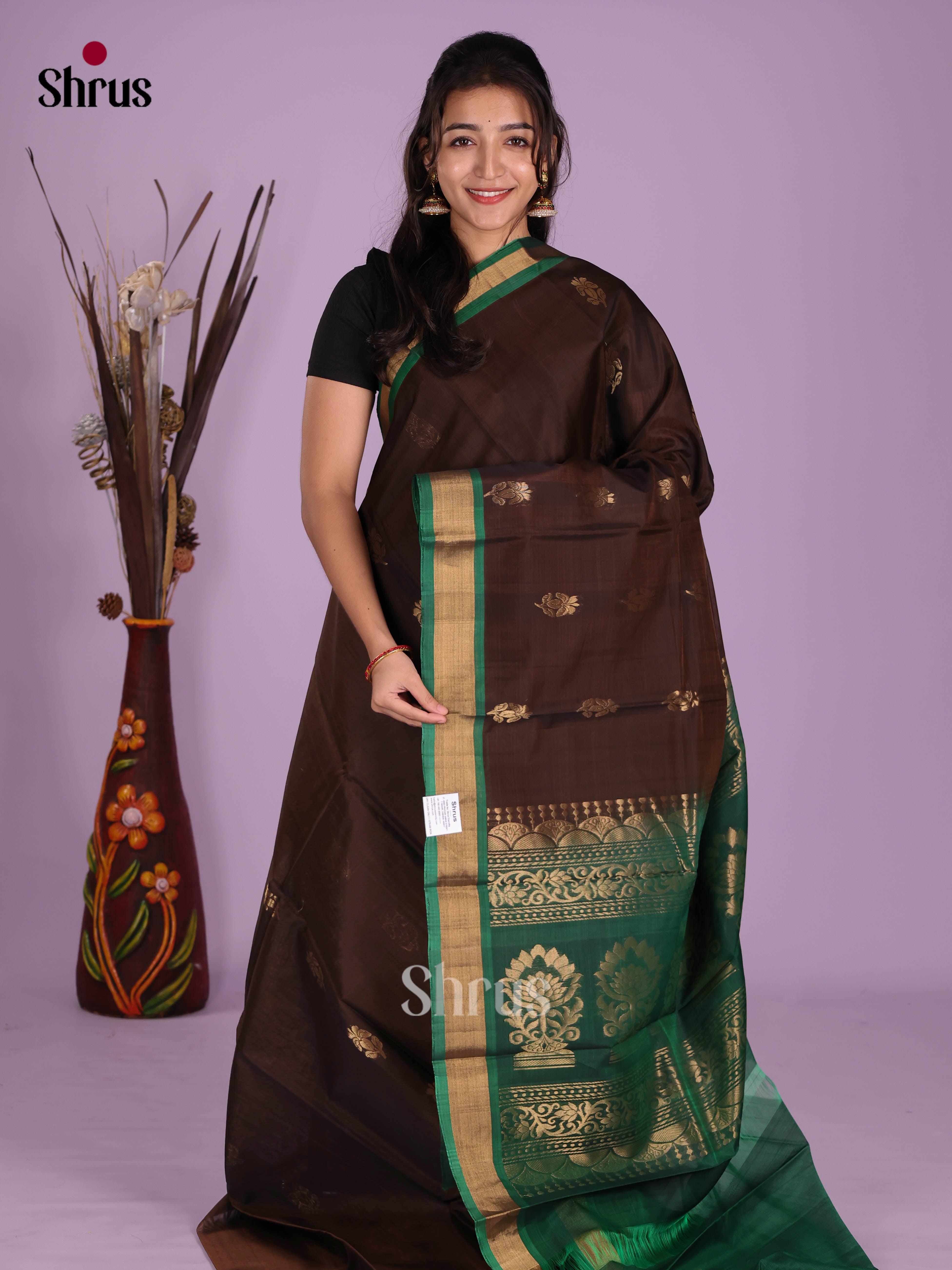 DKS08391 - Timeless Silk Cotton Saree - Shop on Shrus.com