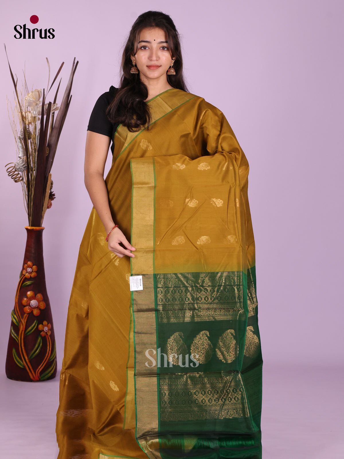 DKS08396 - Timeless Silk Cotton Saree