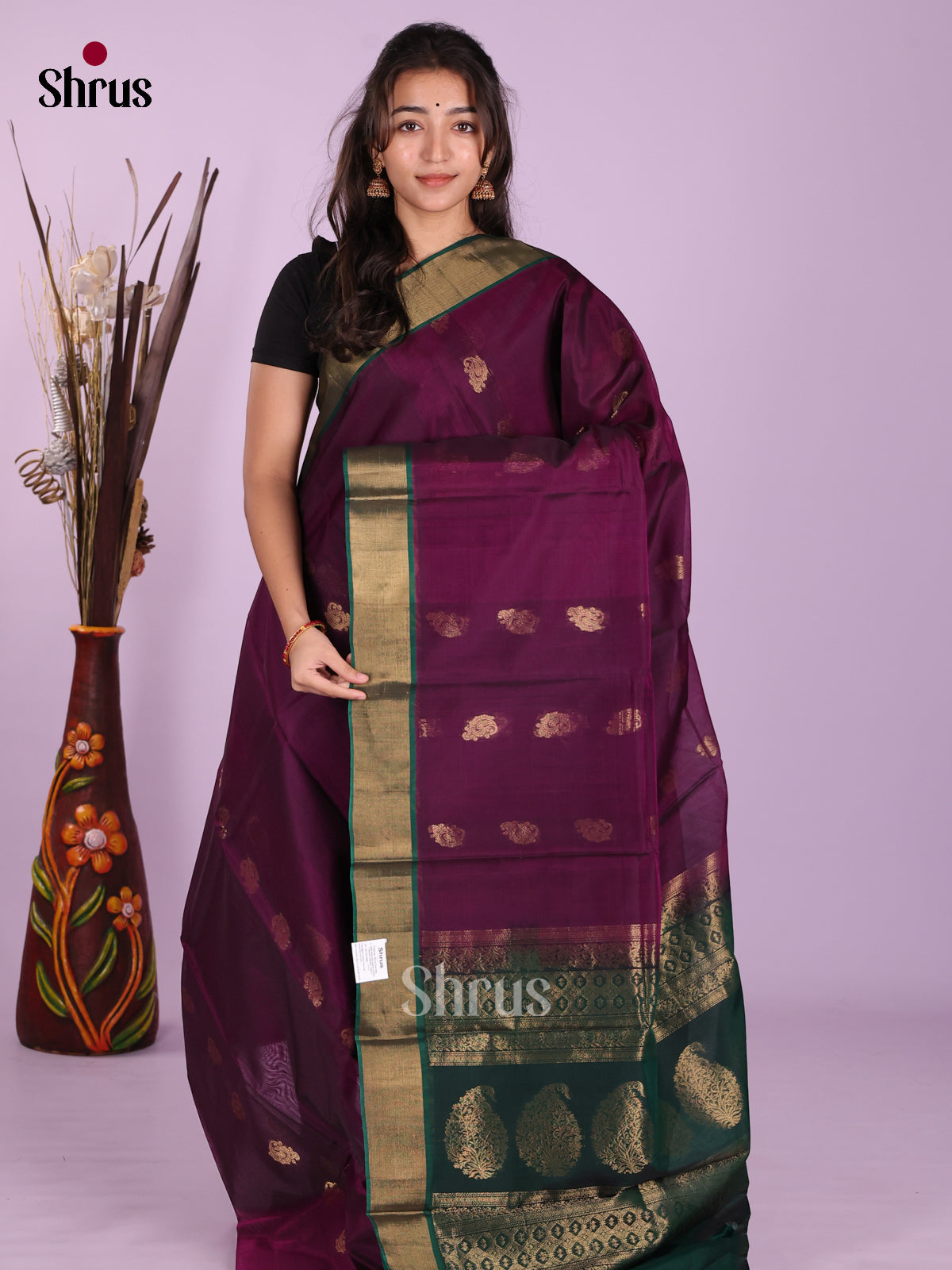 Purple & Green- Timeless Silk Cotton Saree - Shop on Shrus.com