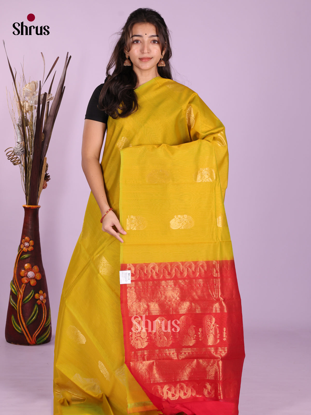 Mustardy Green & Red - Timeless Silk Cotton Saree