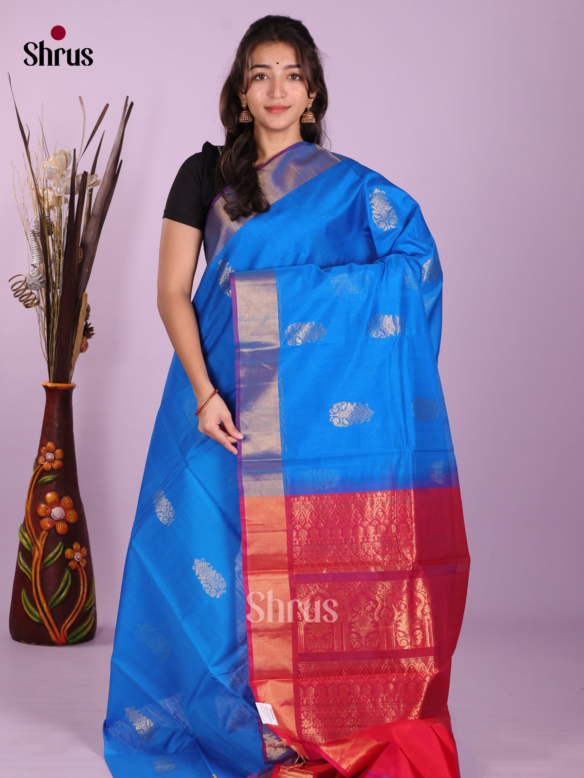 Blue & Red - Timeless Silk Cotton Saree