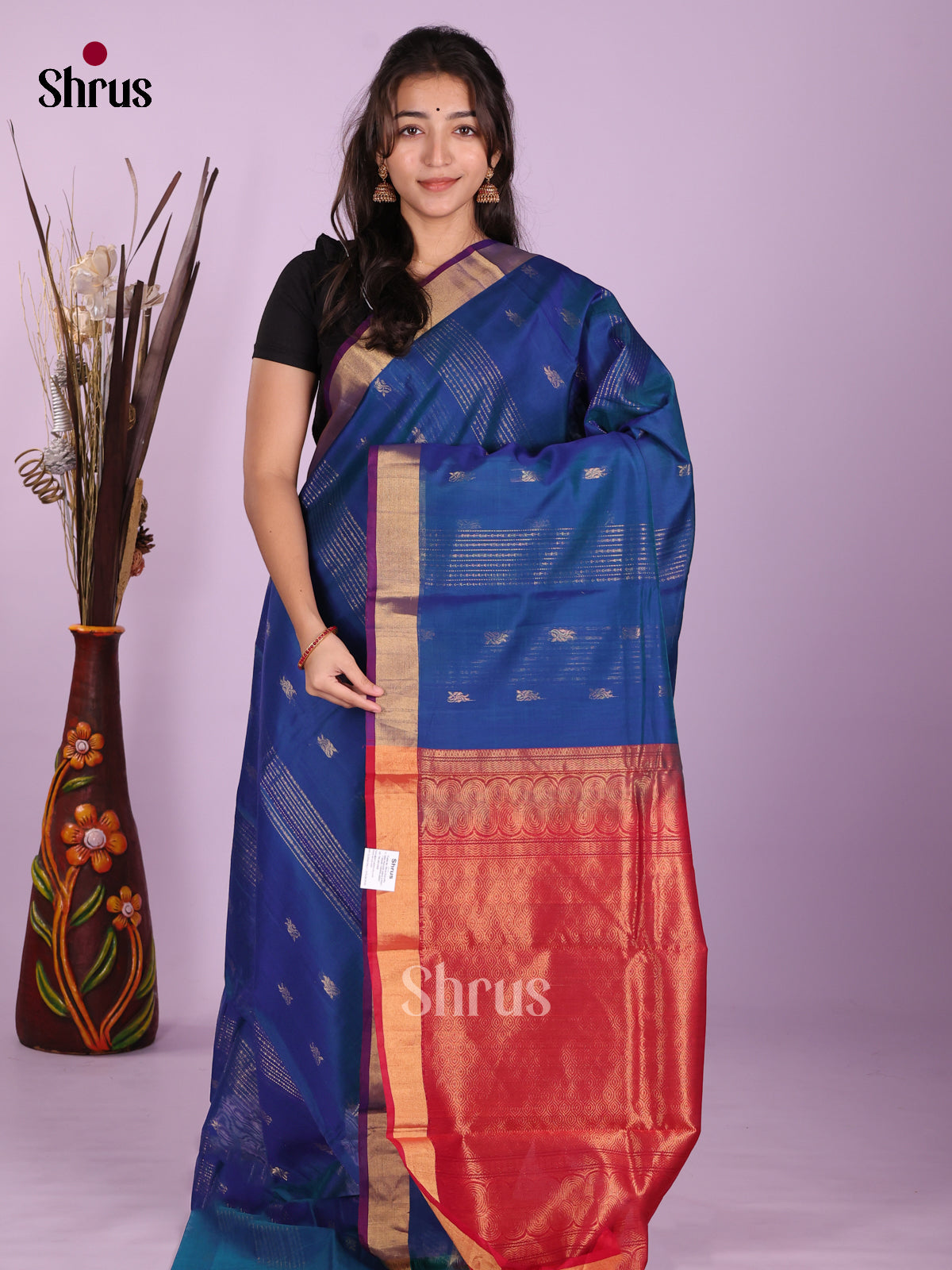 Blue & Red- Timeless Silk Cotton Saree