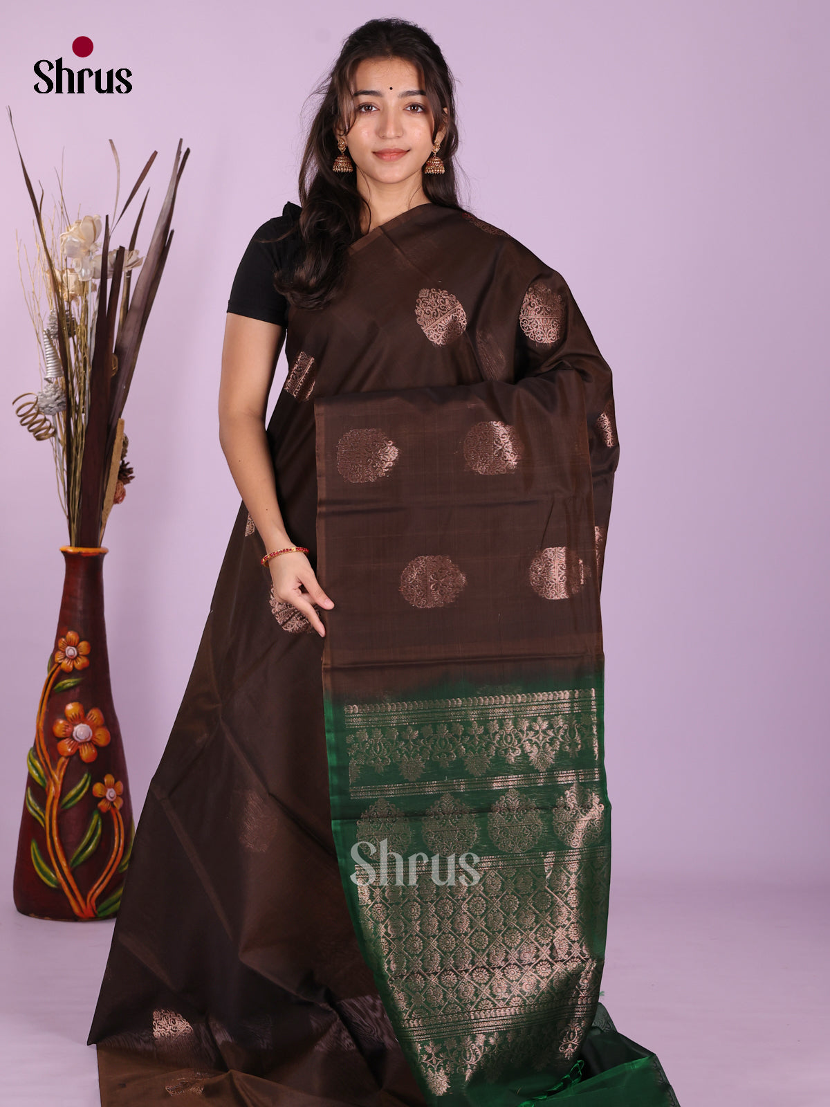 Brown & Green- Timeless Silk Cotton Saree
