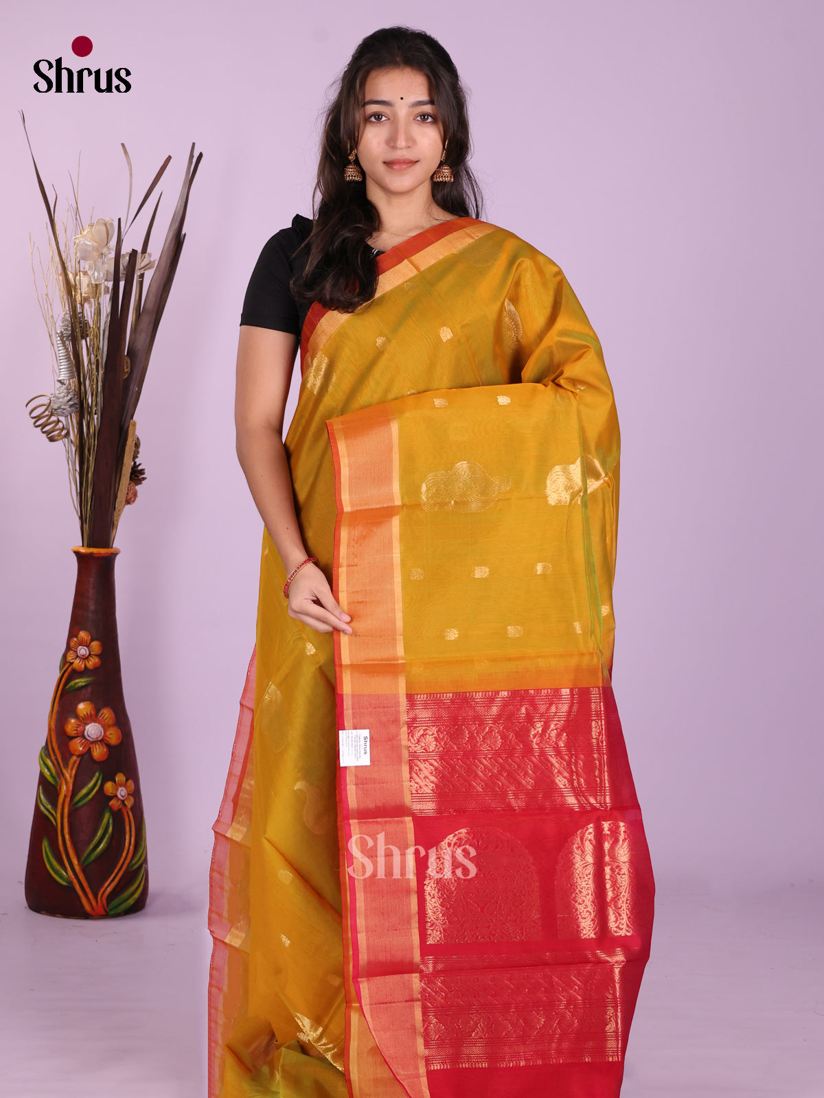Mustard & Red - Timeless Silk Cotton Saree - Shop on Shrus.com