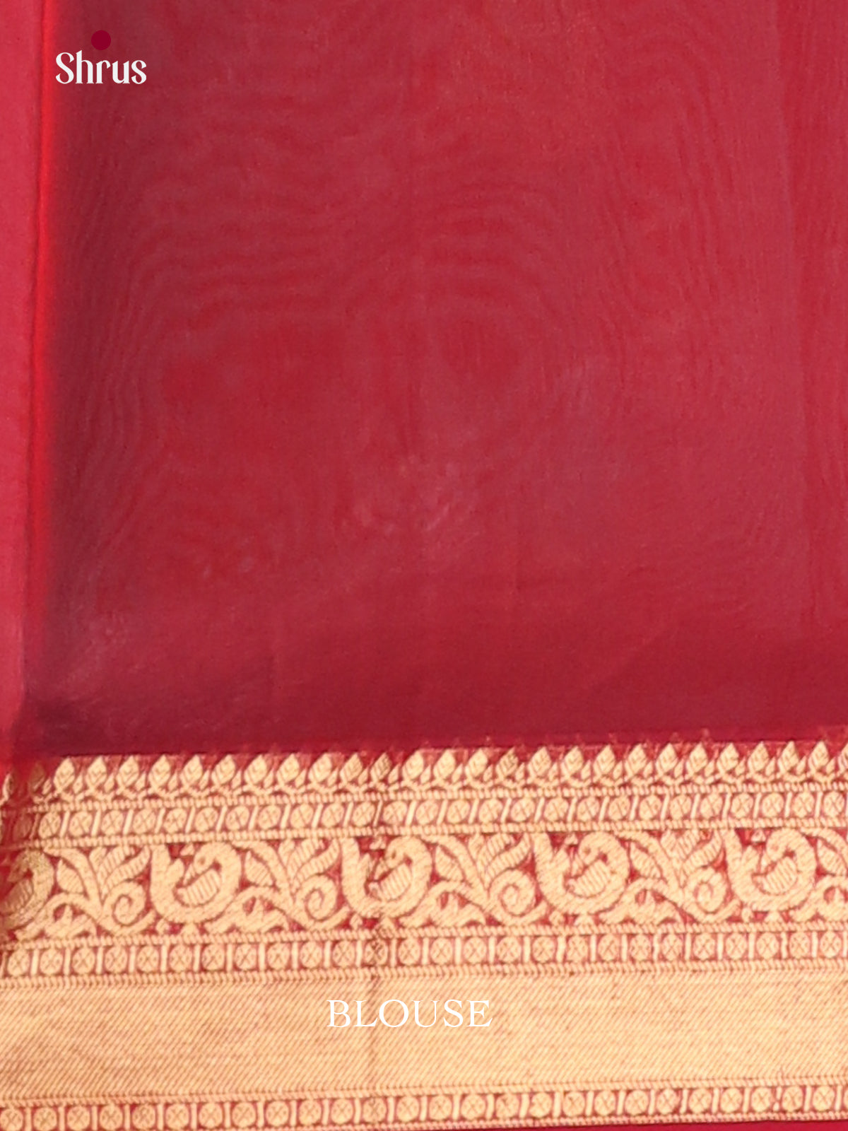 Teal & Red- Timeless Silk Cotton Saree