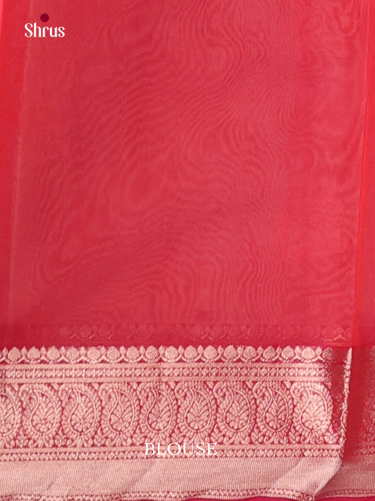 Cream & Red- Timeless Silk Cotton Saree