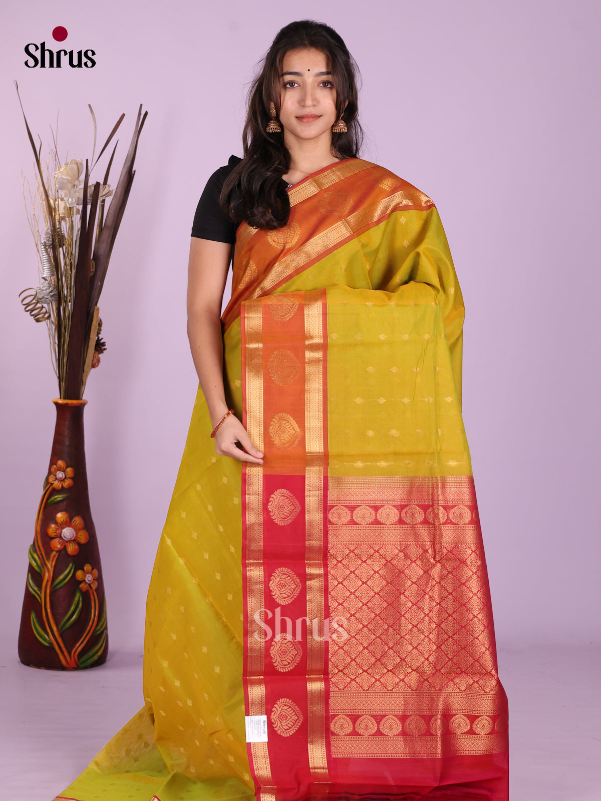Lime Green & Red- Timeless Silk Cotton Saree