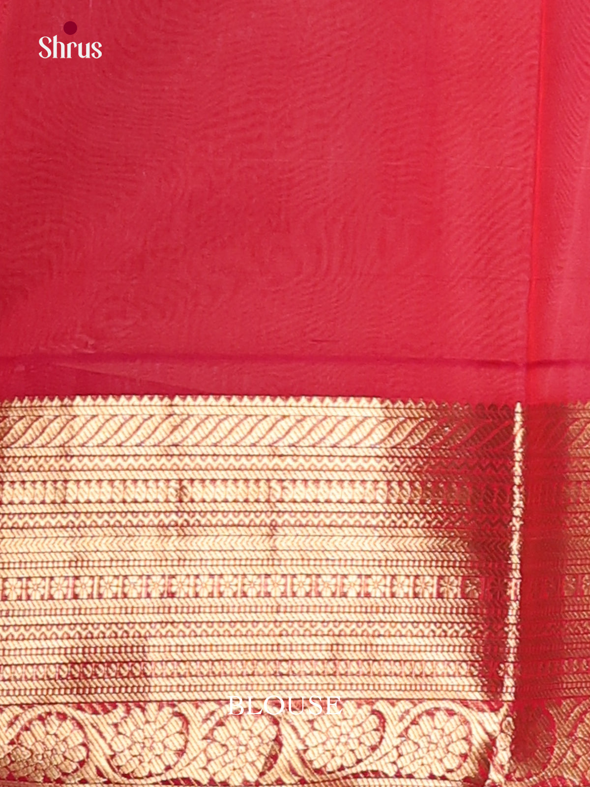 Cream & Red - Timeless Silk Cotton Saree - Shop on Shrus.com