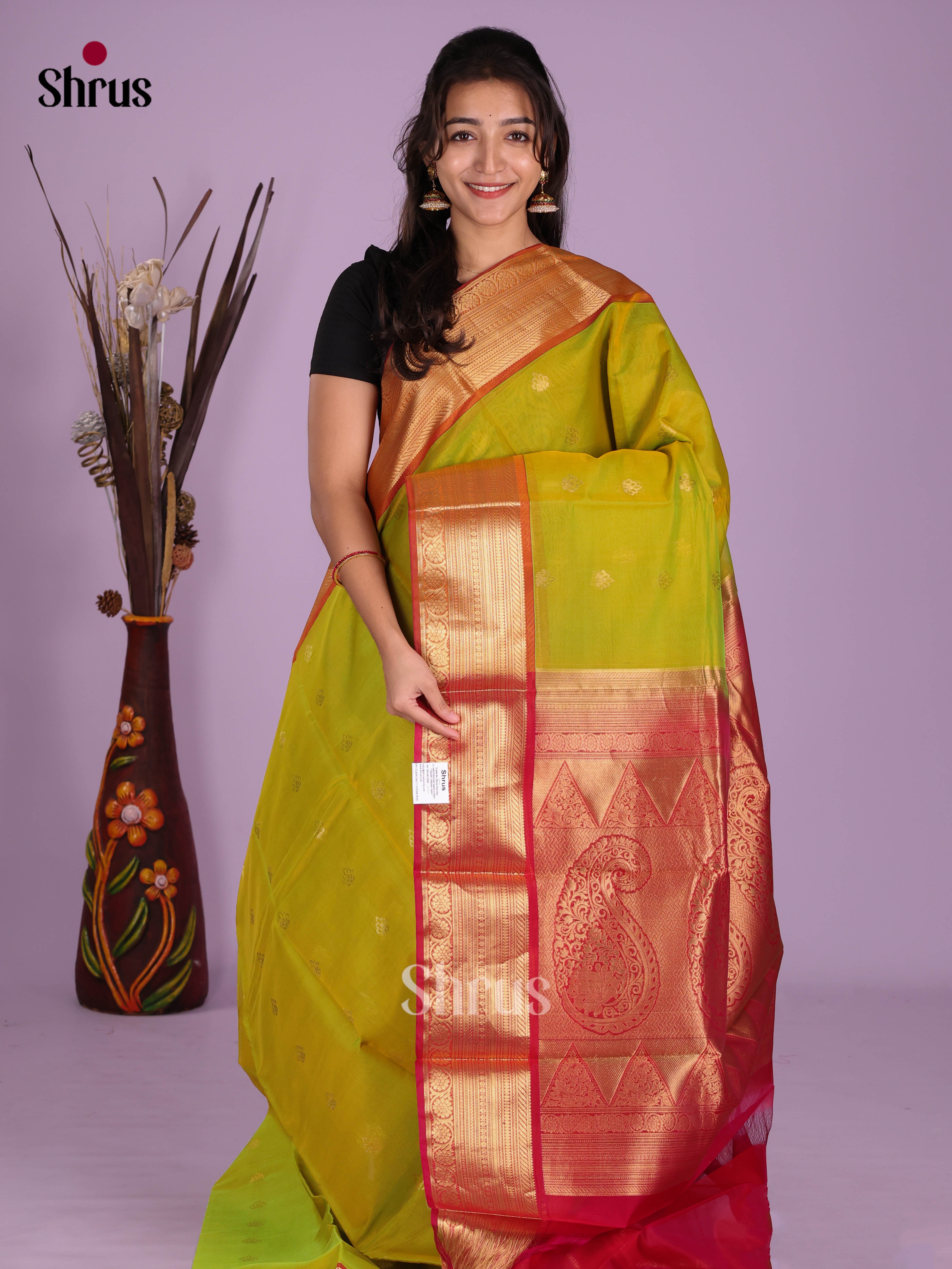 Light Green & Red - Timeless Silk Cotton Saree