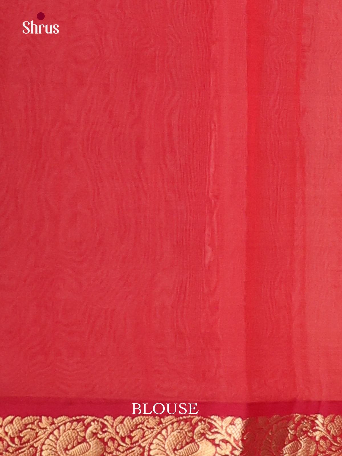 Cream & Red- Timeless Silk Cotton Saree