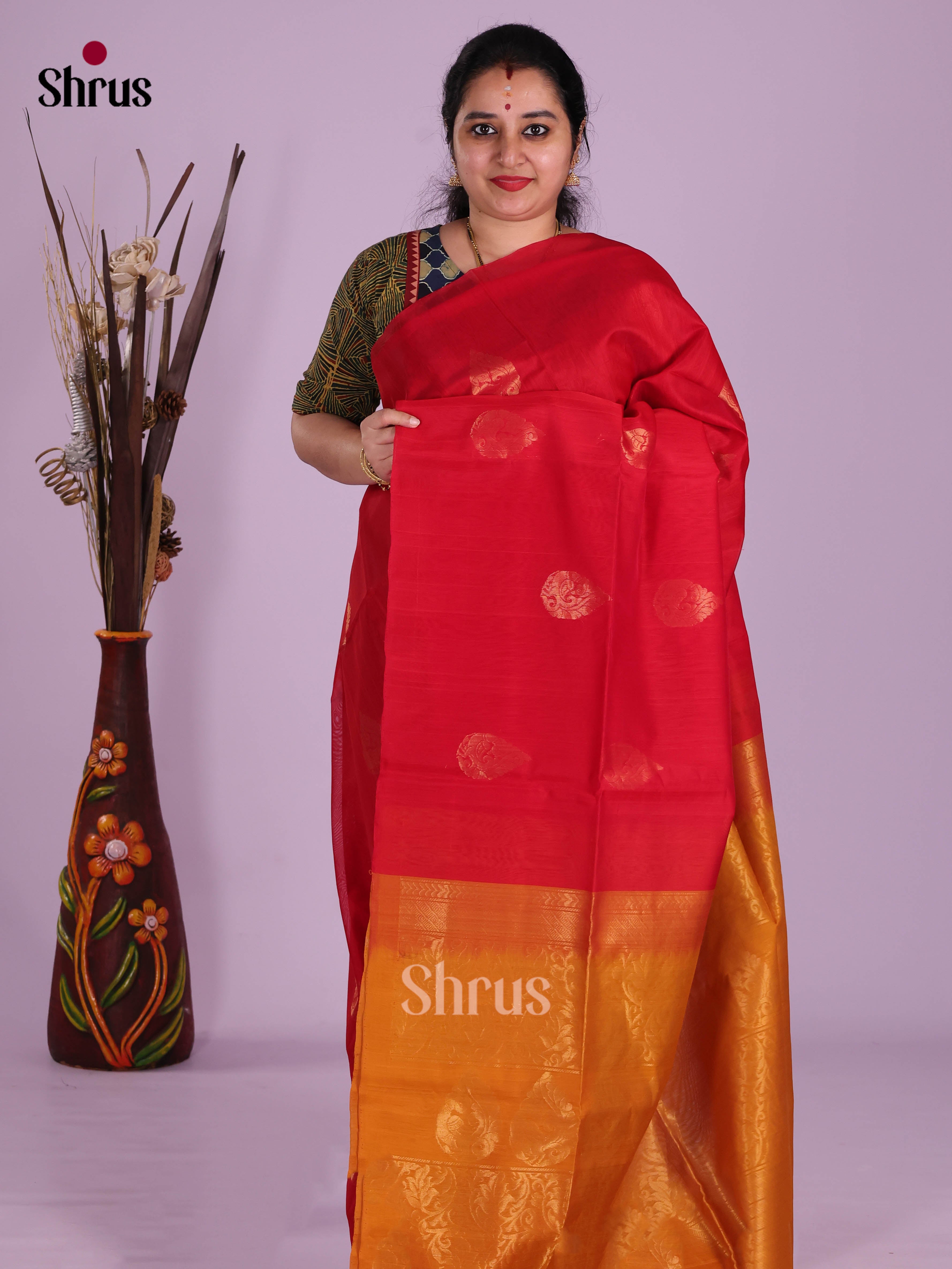 DKS10165 - Timeless Silk Cotton Saree