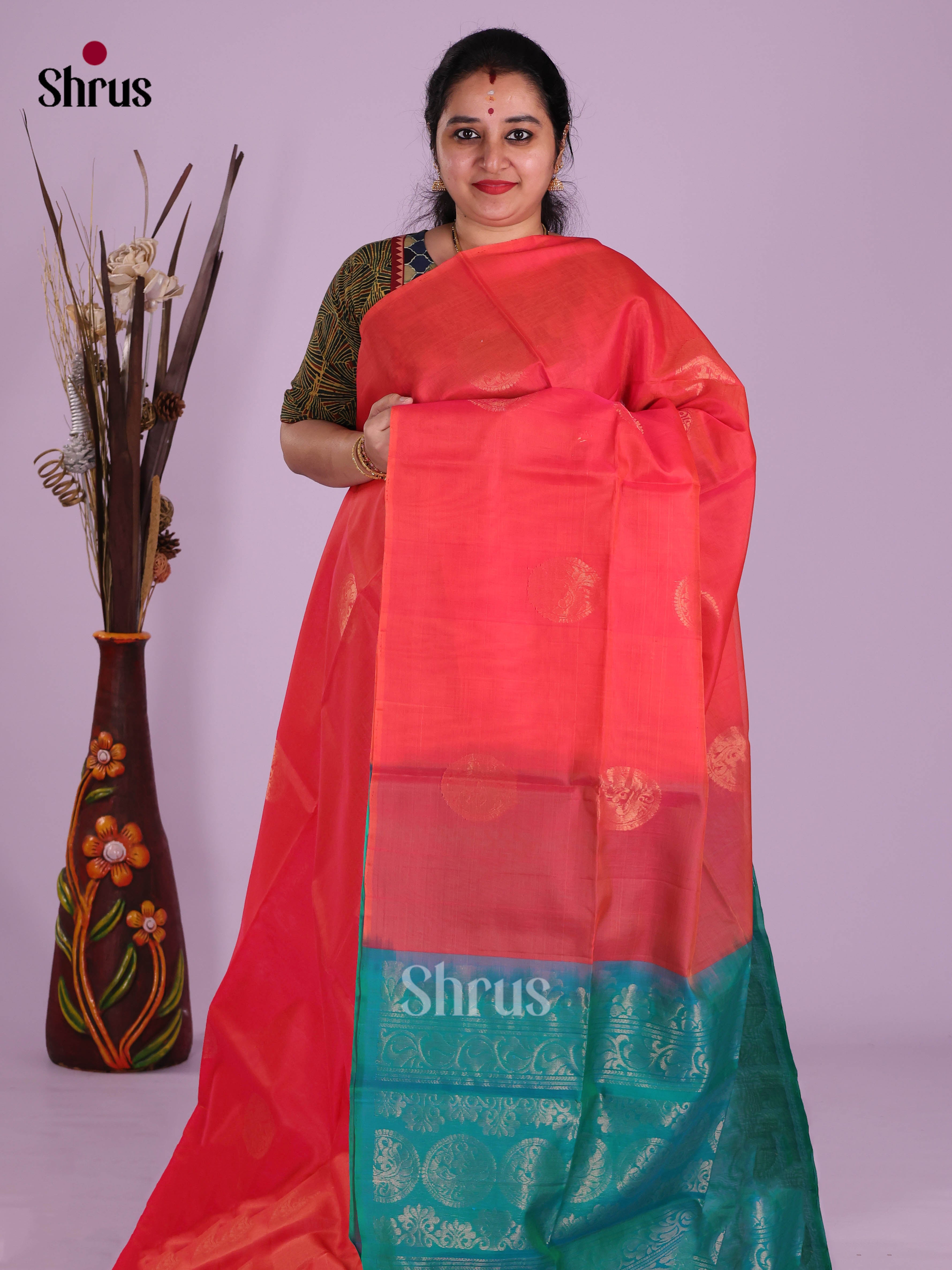 DKS10181 - Timeless Silk Cotton Saree