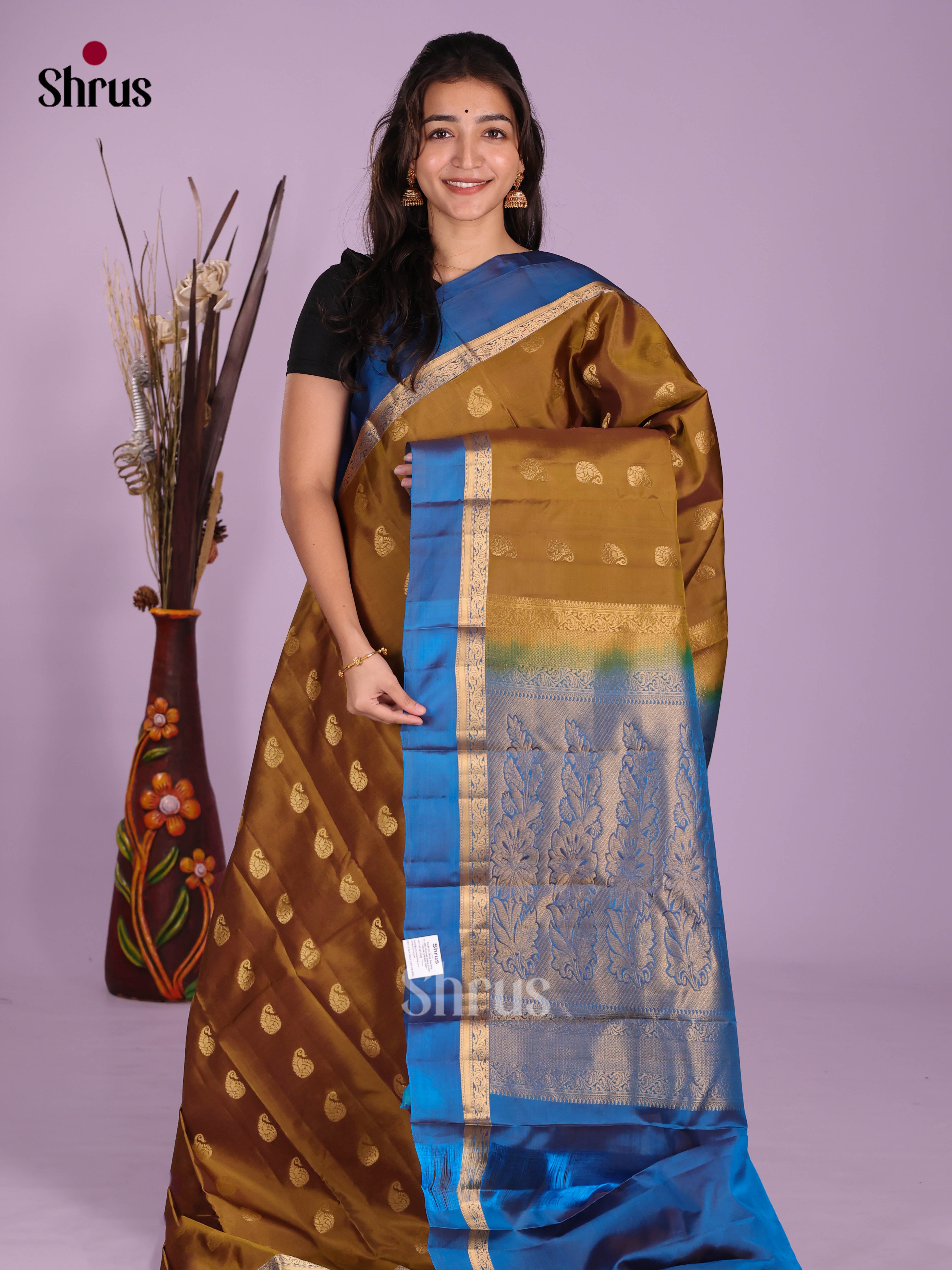 DKS11001 - Kanchipuram-halfpure Saree
