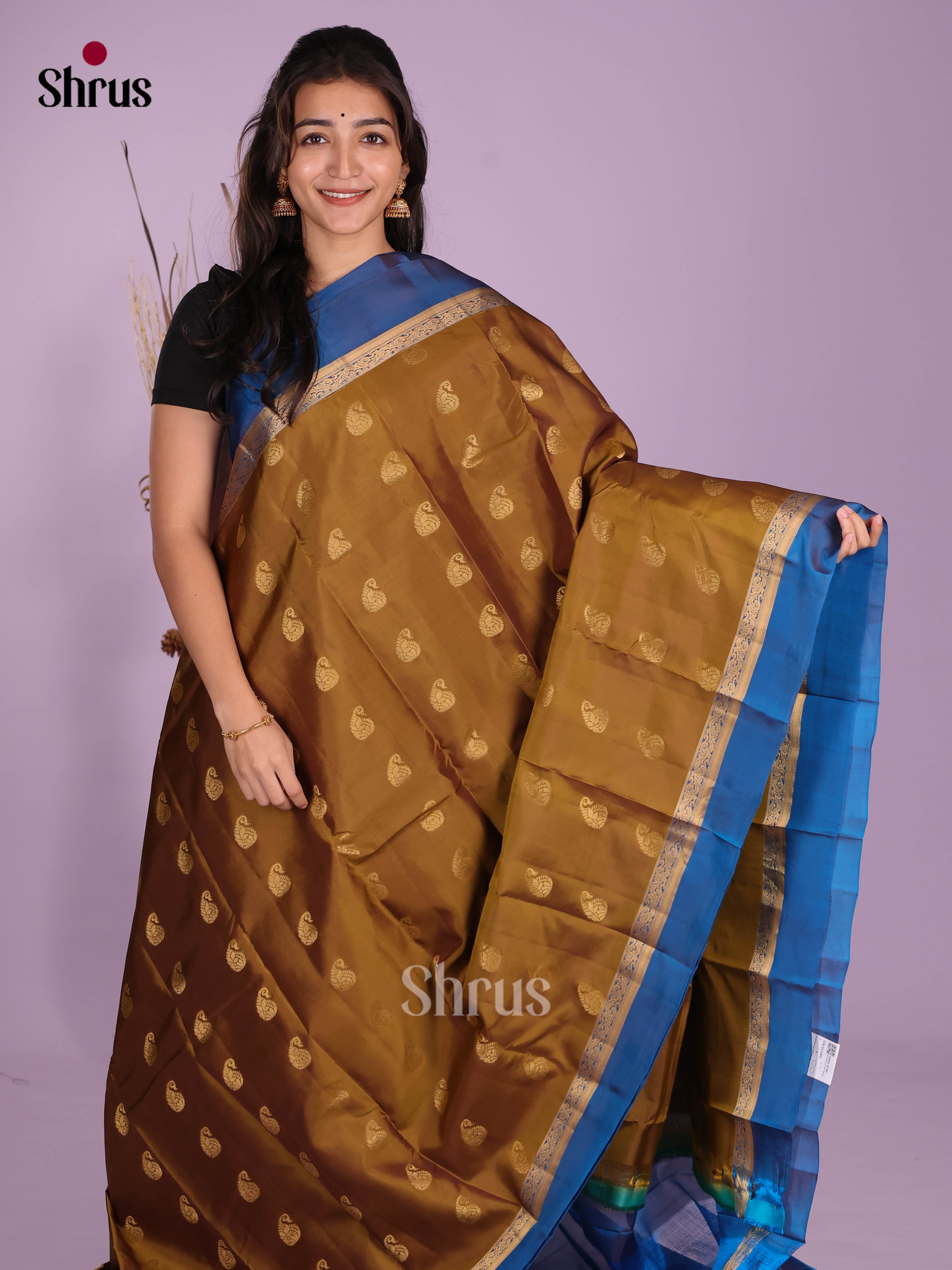 DKS11001 - Kanchipuram-halfpure Saree