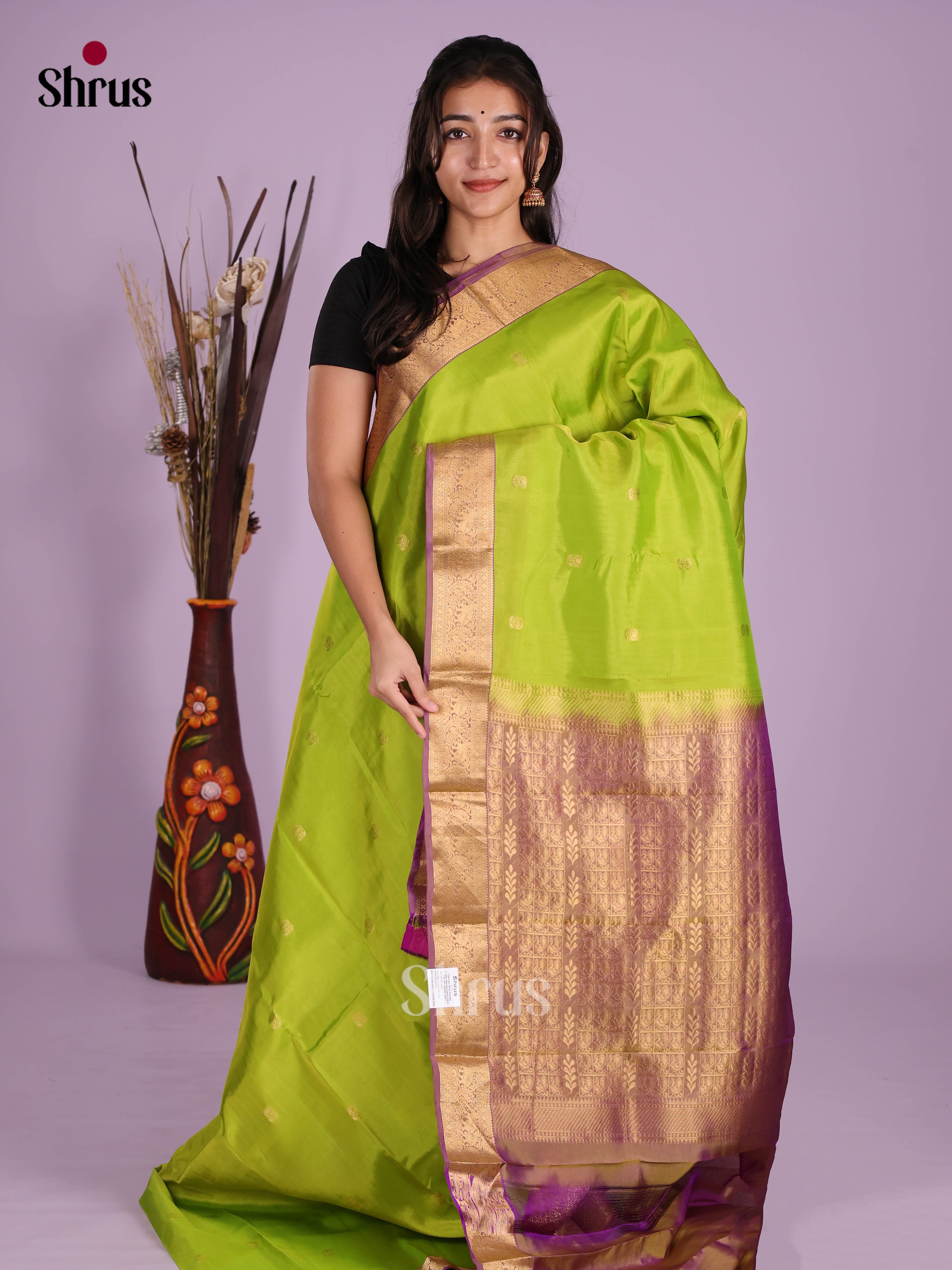 DKS11005 - Kanchipuram-halfpure Saree