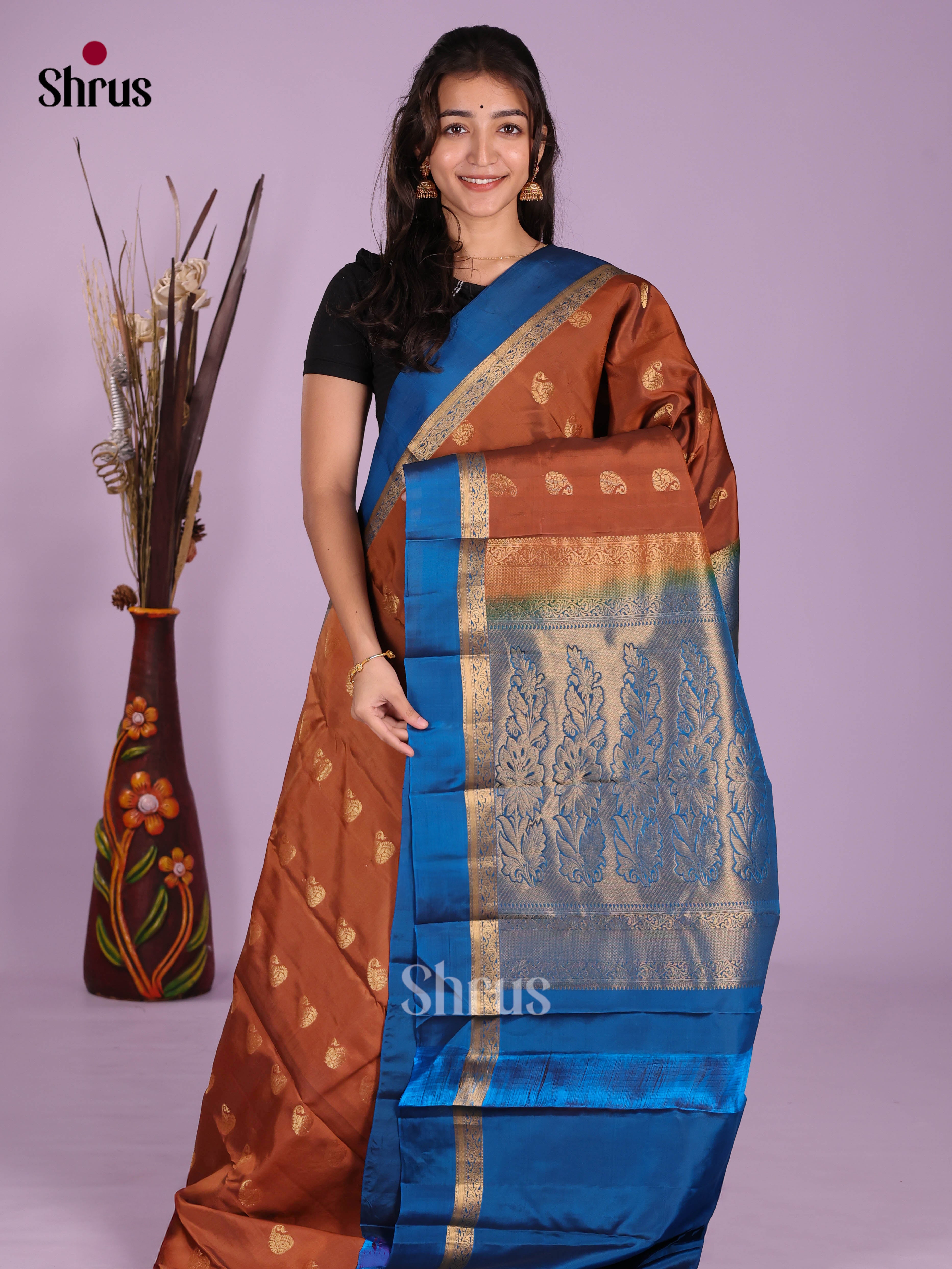 Brown & Blue - Kanchipuram-halfpure Saree
